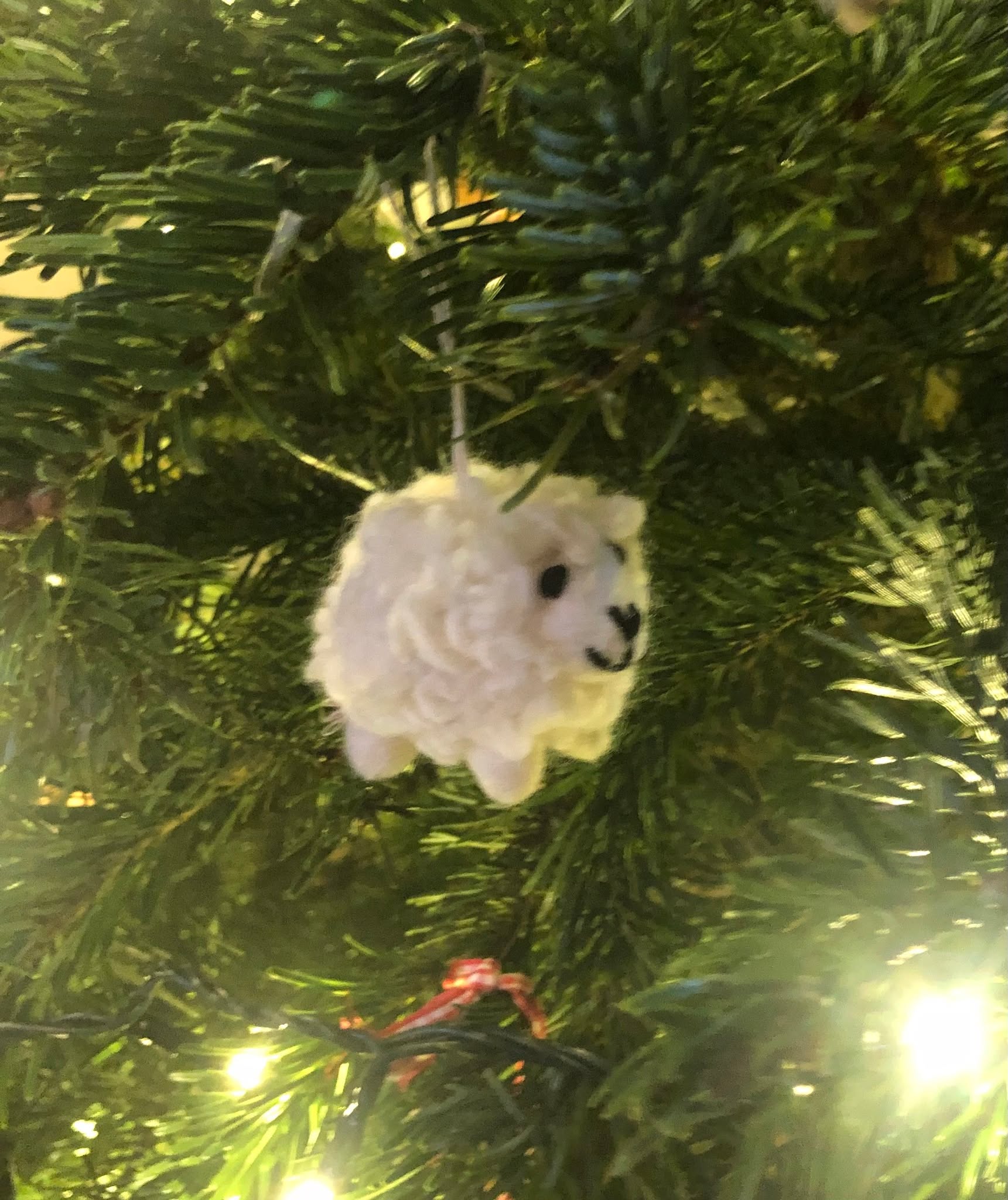 A sheepish figure on one of Christ Church's lovely Christmas trees.
#offbeatcotswolds #bluebadgeguide #bluebadgeguides
#britainsbestguides #christchurchoxford #christmassheep
#explore_britain_ #traveling_uk
#photosofengland #instabritain