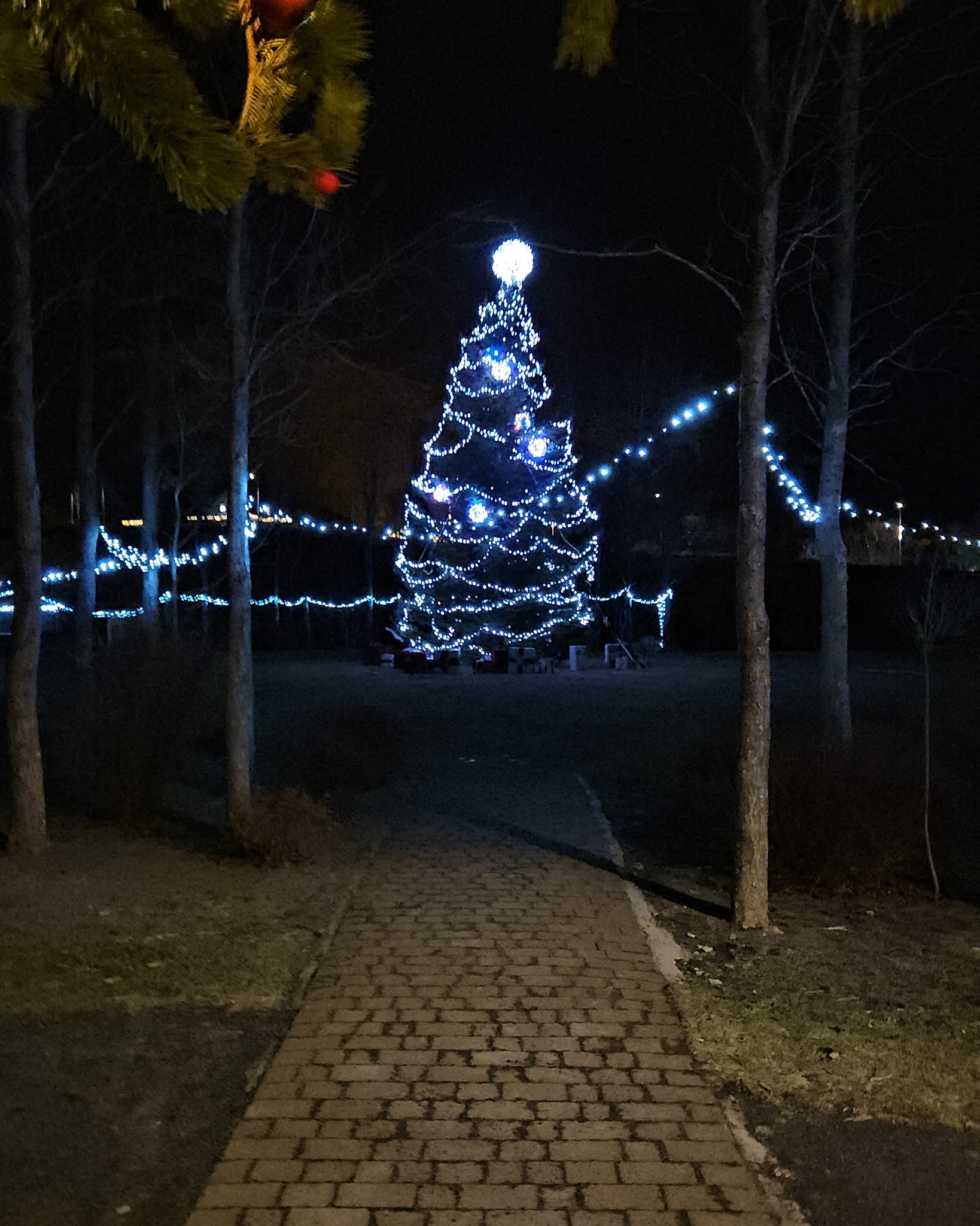 Gleðileg jól/Merry Christmas
🎄🍬🎄🍬🎄🍬🎄🍬🎄🍬
#VisitHveragerði #VisitIceland #travel #Iceland #DiscoverHveragerði #ExploreIceland #IcelandicMagic jól #Christmas #christmaseve
#VisitHveragerði #VisitIceland #travel #Iceland #DiscoverHveragerði #ExploreIceland #IcelandicMagic jól #Christmas #christmaseve