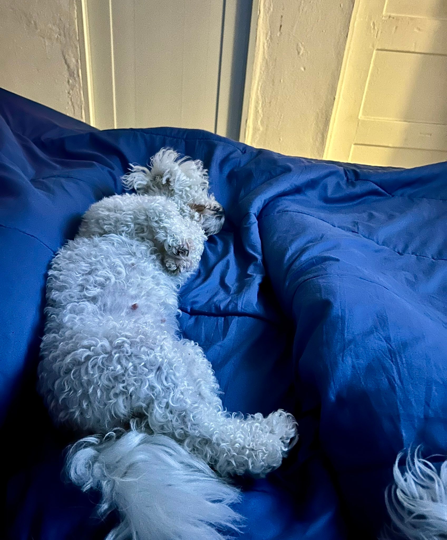 Estarán cómodos ellos 😂🥰🥰