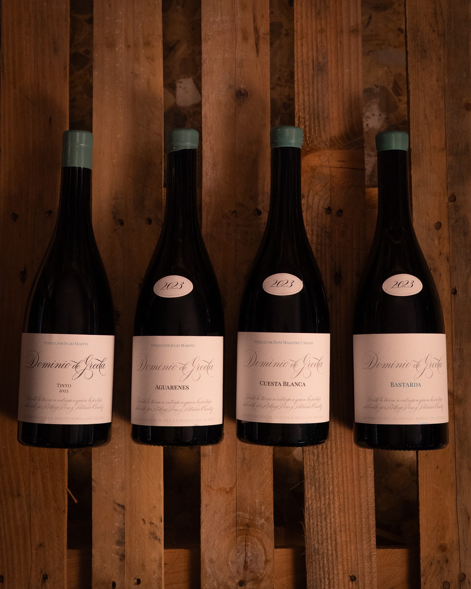 En las novedades del mes de diciembre se encuentra el trabajo de Dominio de Greda, con vinos que hablan de viñedos singulares, suelos de greda y una forma de entender el vino desde el respeto y la mínima intervención. Actualmente contamos con cuatro referencias, cada una con una personalidad bien definida:
🍷 Dominio de Greda Tinto 2023: es la puerta de entrada al proyecto. Un vino que refleja la identidad global de sus viñedos. Directo y honesto, muestra el carácter de los suelos arcillosos y calcáreos, con una fruta limpia y una estructura amable.
🍷 Aguarenes: vino de parcela que profundiza en la expresión del terroir. Destaca por su tensión, mineralidad y precisión, fruto de viñas trabajadas manualmente y rendimientos muy bajos. Es un vino serio, con capas, pensado para quienes buscan vinos con identidad y recorrido.
🍷 Cuesta Blanca: procedente de un viñedo especialmente marcado por los suelos blancos de greda, este vino ofrece una sensación de verticalidad, frescura y elegancia. Es probablemente el más fino y delicado del proyecto.
🍷 Bastarda: con carácter propio, que rinde homenaje a viñas difíciles y a viticultores comprometidos. Expresivo y salvaje.
🛒 Ya disponibles en nuestra web