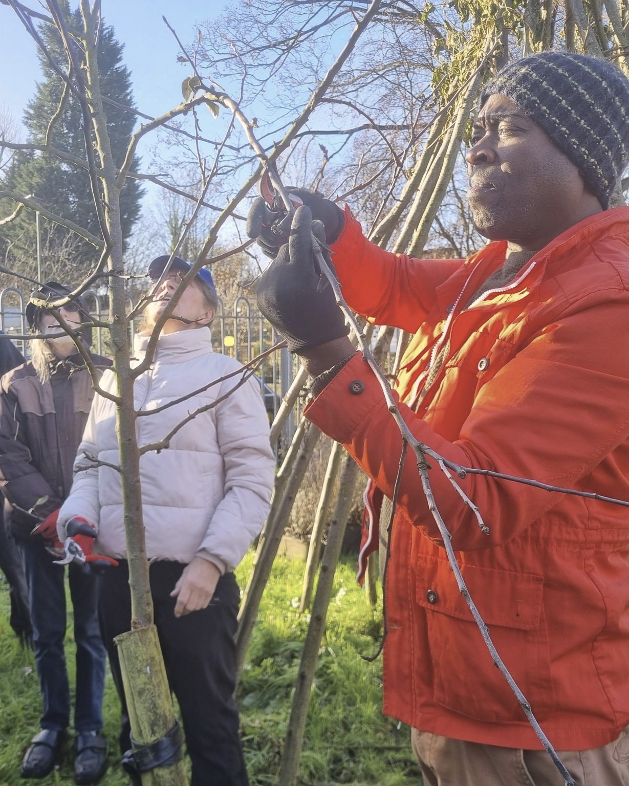 Lovely weather to visit @balsallheathcf in #BalsallHeath last week for some #FruitTree #WinterPruning on the farm.