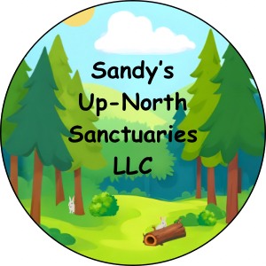 Check out our NEW Website: https://www.sandysup-northsanctuaries.com
You can make reservations there through the HipCamp link.
Reservations for 2026 will book fast - get your reservations in NOW!!