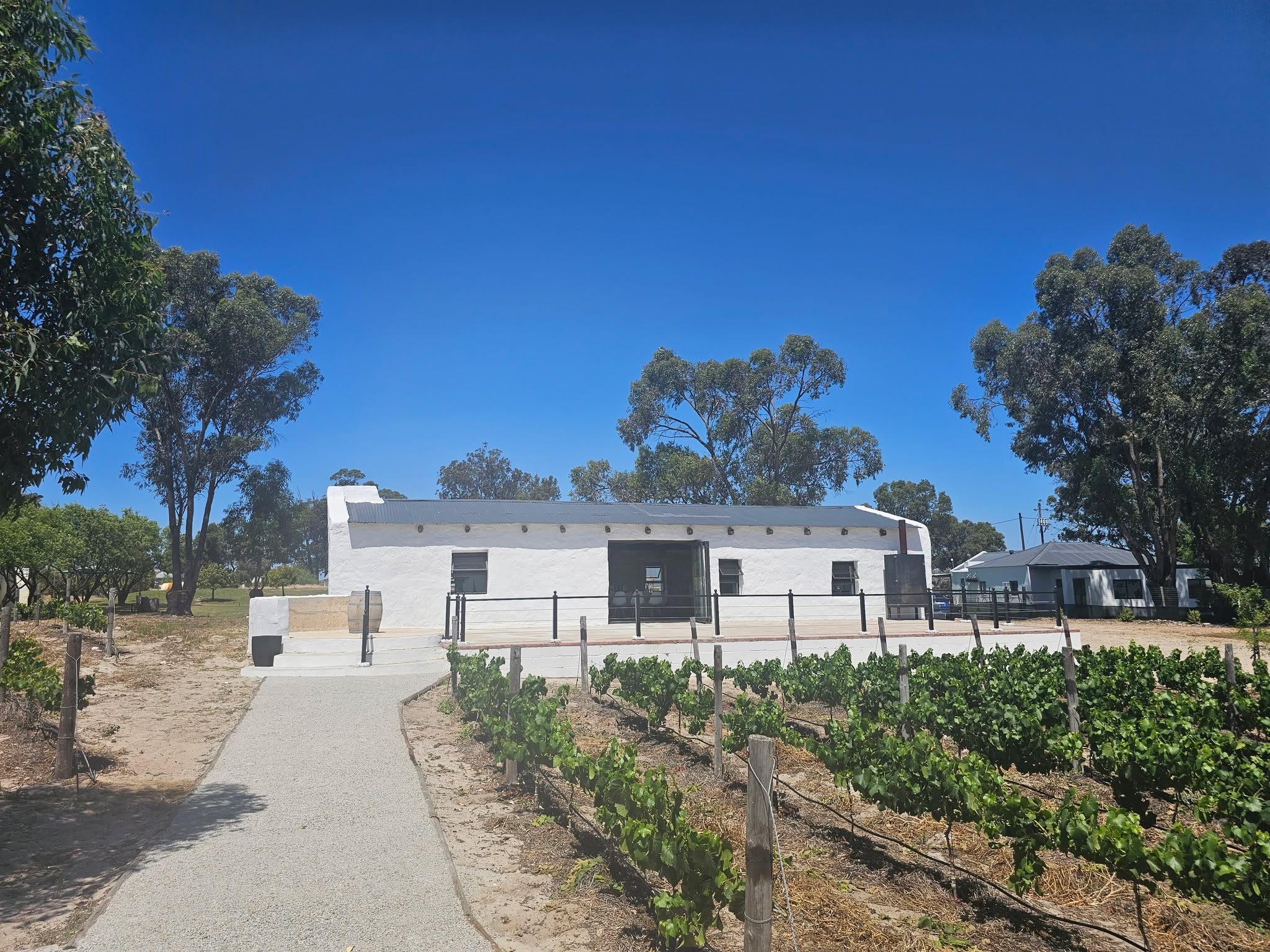 Three iconic wine regions in one 3 day journey: coastal vineyards of the West Coast with their salt-tinged, cool-climate character; the stark, honest beauty of Karoo country, where dry air and big skies shape distinctive wines; and the limestone-rich Robertson valley, home to elegant reds, crisp whites, and serious Cap Classique. Our Wine & Dine by Air experience links them in a single trip.
Book your Wine and Dine 2N/3D Flying Experience 👉 https://bit.ly/flyexpwinedine
#AfricaSkyRunners #WineAndDine #FlyTheCape #WesternCapeAdventures #SkyToVine