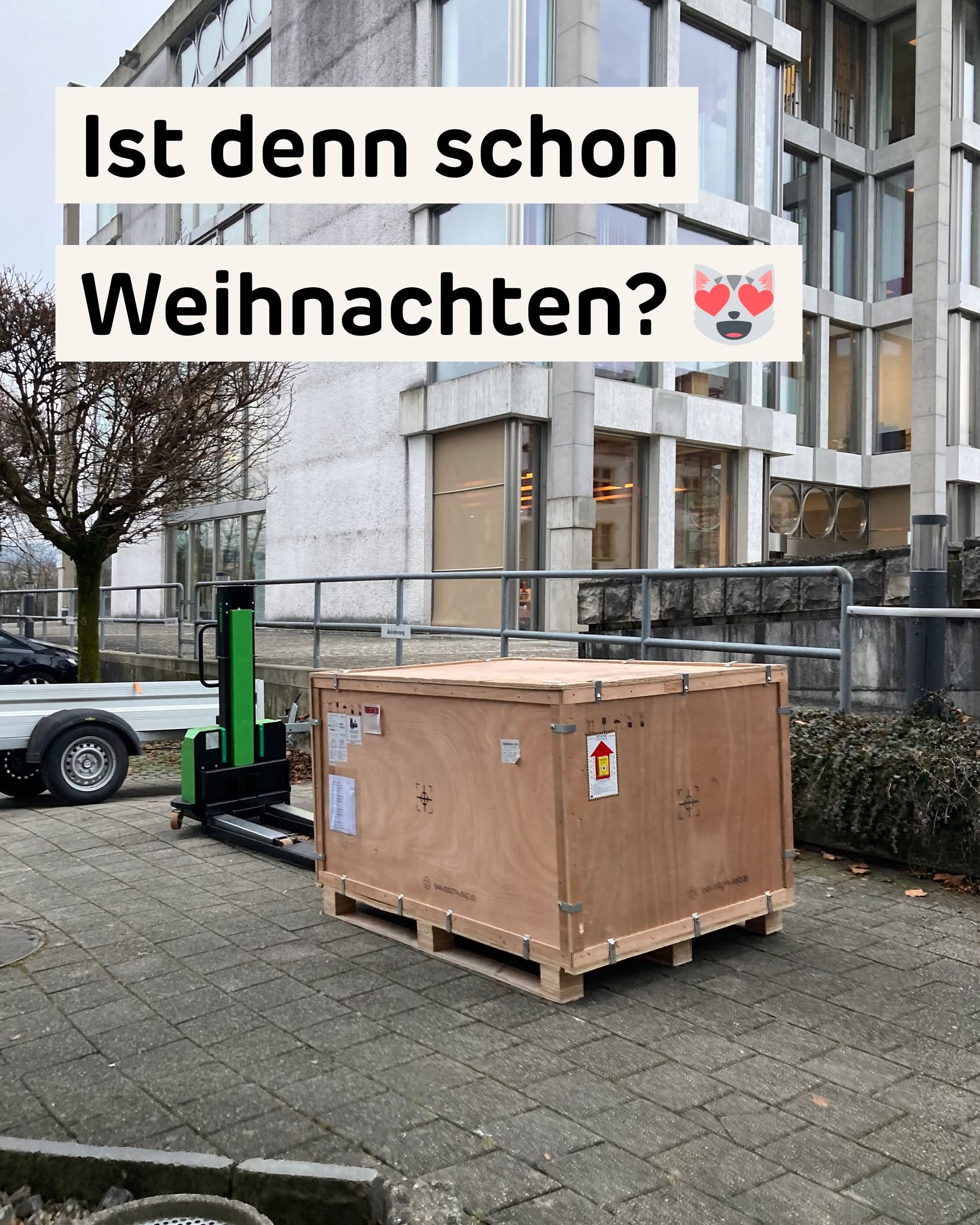 Heute war grosse Bescherung in unserer neuen Katzenpraxis: ein Grossteil der medizinischen Geräte wurde geliefert! 😻
Das vollgepackte Auto der freundlichen Lieferanten mitsamt Anhänger enthielt unter anderem einen Röntgentisch, ein Anästhesiegerät mit dazugehörigem Überwachungs-Apparat, zwei medizinische Tische, zwei Laborgeräte, zwei Spezial-Lampen und noch mehr. Es war wirklich Weihnachten für Tierärztinnen.
Und ein ganz, ganz wichtiges Gerät wurde auch installiert und geht schon bald in Betrieb: das Telefon! 😸☎️
Bald veröffentlichen wir unsere Nummer, die übrigens sehr gut zum Standort Solothurn passt. 😉