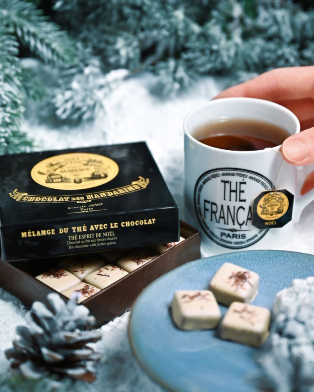 🍵✨ Les thés Mariage Frères
Découvrez nos incontournables pour offrir ou se faire plaisir. Un cadeau élégant, une dégustation d’exception. 🎁✨