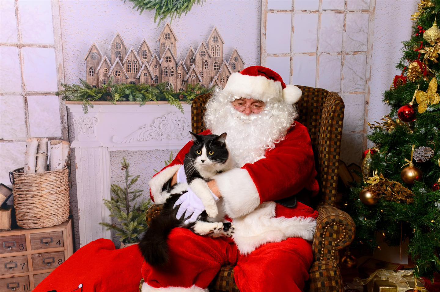 🎄✨ What a great day this past Sunday doing photos for the LCCR! ✨🎄
We had such an amazing turnout — more cats than ever this year, plus a few sweet pups and even a rabbit who absolutely stole the show. 🐱🐶🐰❤️
Thank you to everyone who came out to support and share some holiday cheer. Santa loved meeting all your adorable pets, and I can’t wait for you to see the finished photos (which are ready for download)! 📸🎅
#LCCR #HolidayPetPhotos #SantaPhotos #PetPhotography #YQL #LethbridgeEvents #CatPhotos #DogPhotos #RescuePets #SupportLocal #ChristmasMagic
