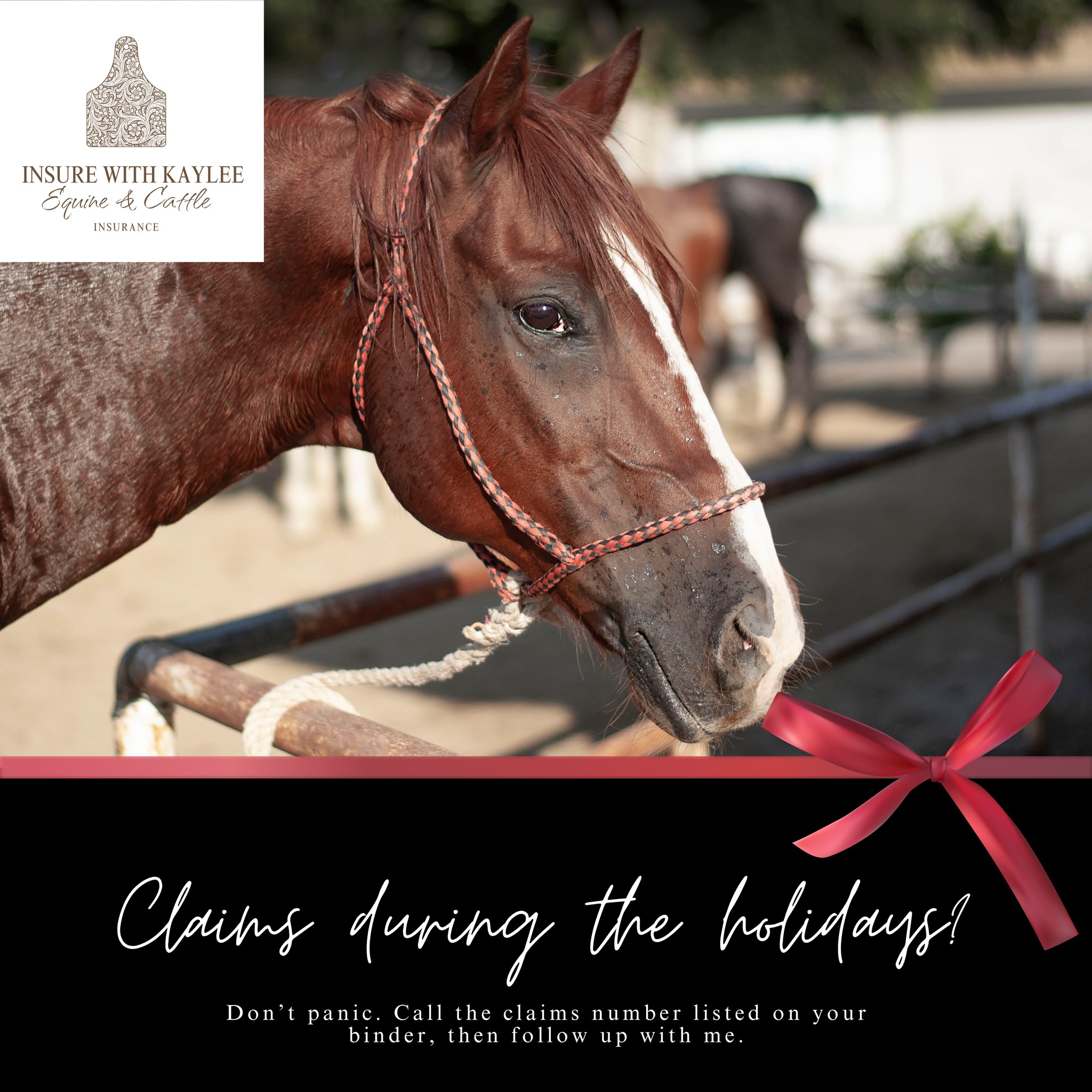 We're out of the office until January 2nd, but we're still checking emails as needed.
If you experience a claim, please call the claims number on your binder and then reach out to us.
Wishing everyone a restful and enjoyable holiday season.
— Insure With Kaylee
https://www.insurewithkaylee.info/