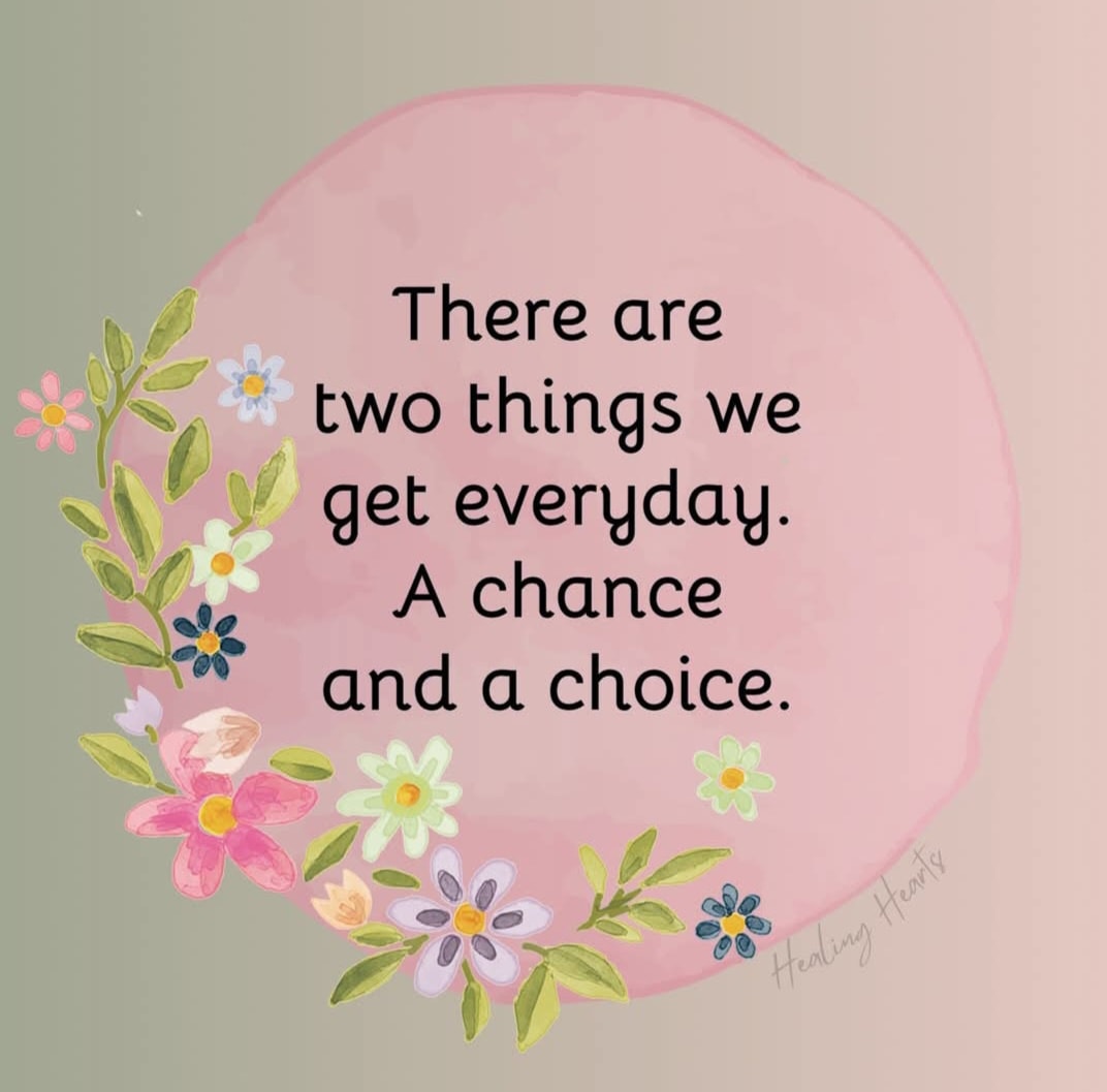 This week's #ShineVibes 💫