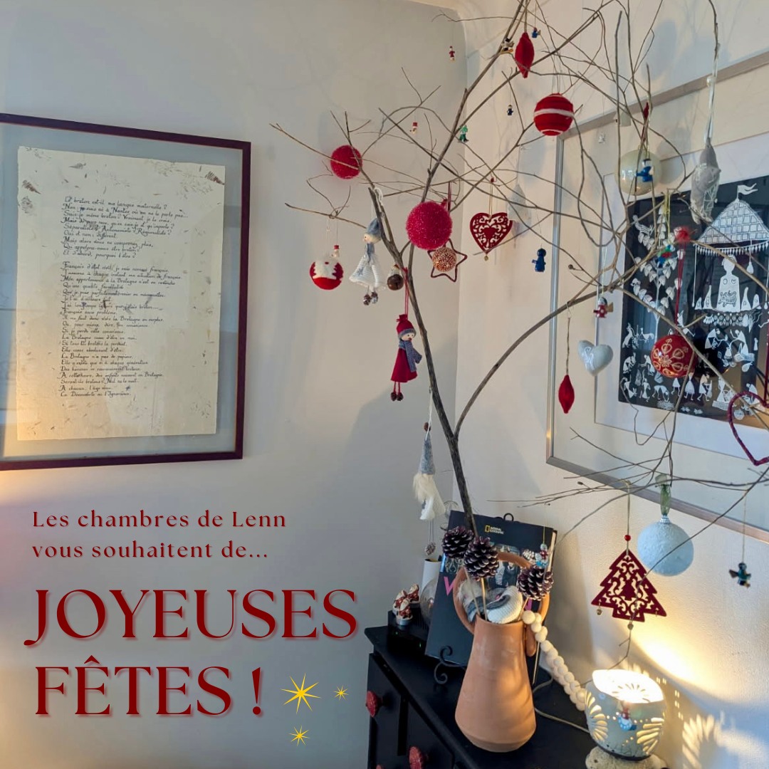 It's tiiiiiiiiiiime 🎄🕺🏻
C'est l'heure pour nous de vous souhaiter de belles et reposantes fêtes de fin d'année 🎅🏼🎁
Merci à toutes celles et ceux qui sont passé.es par les chambres de Lenn durant cette année 2025 🤎
Et nous, on se dit à l'année prochaine...😉
#bretagne #damgan #morbihan #chambresdhotes #december #autumn #automne #merrychristmas #christmas #happynewyear2026