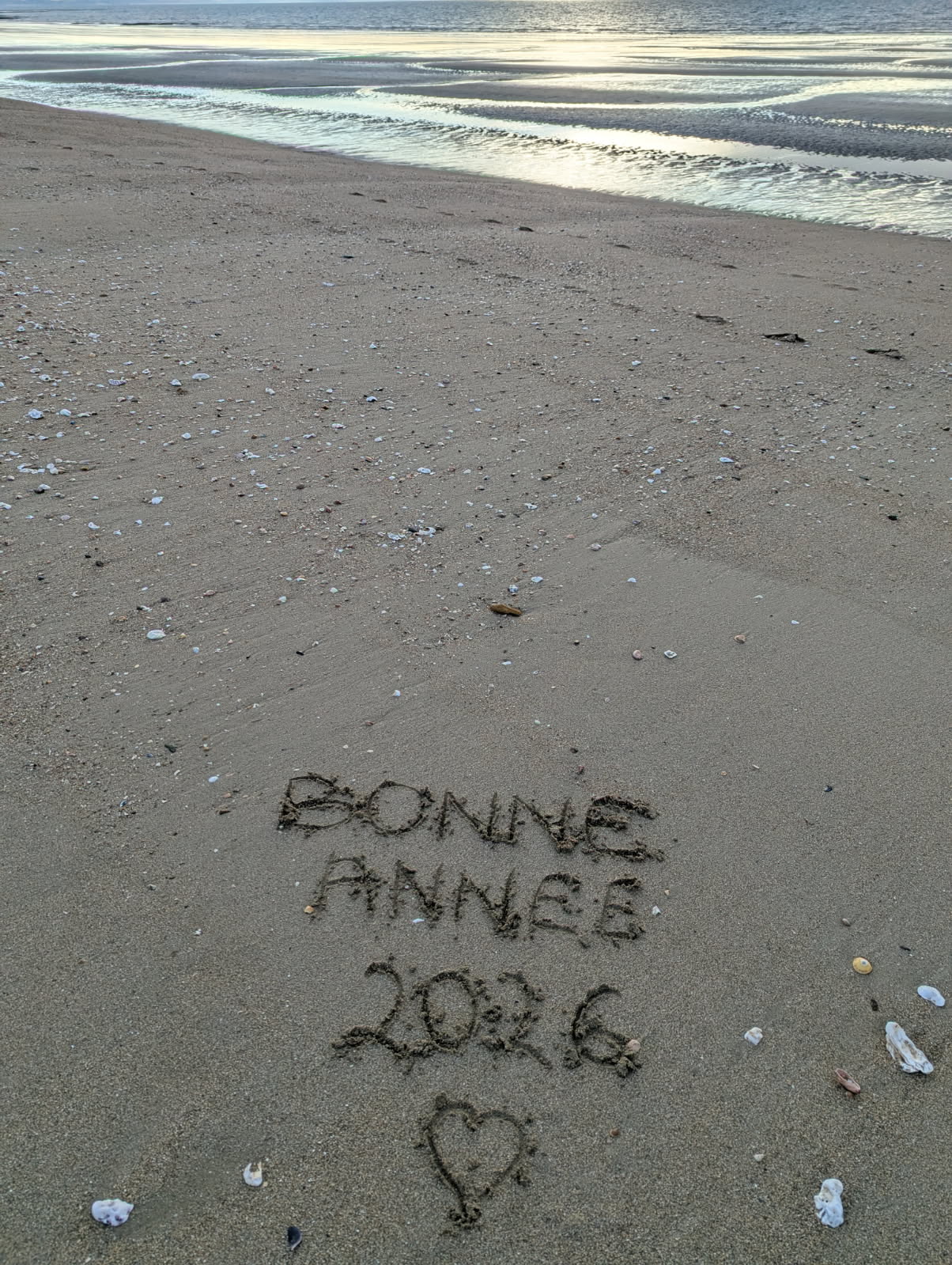 Les chambres de Lenn vous souhaitent une très belle année 2026, remplie de joie et de bonne humeur, de pauses bretonnes, iodées et salées 💙
Pour vous ou pour vos proches, n'hésitez pas à (vous) offrir une escale à Damgan, Lenn 😻 et moi 🧚♀️ seront ravis de vous y (re)trouver !
Pour en savoir plus, rendez-vous sur le site 👉🏼 www.leschambresdelenn.com
➡️ Réservation par mail 📩 : leschambresdelenn@gmail.com ou par téléphone 📞 : 06 84 83 28 26
#bretagne #damgan #morbihan #chambresdhotes #janvier #happynewyear