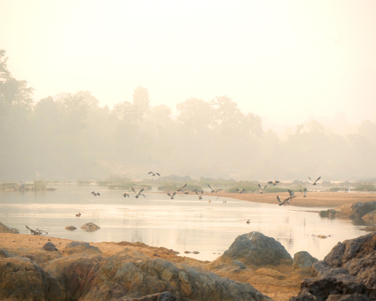 Winter magic at Camp Banas! ❄️✨
Nothing beats the chill of winter like the warmth of family and friends. We had a wonderful time hosting our loved ones from Singrauli and Shahdol right here at Camp Banas.
From exploring the raw beauty of nature to sharing stories by the campfire, these holidays are becoming unforgettable. It’s a reminder that the best travel destinations aren't just places, but the people you share them with.
📍 Camp Banas 🌲 Nature | Family | Winter Vibes
#CampBanas #WinterHolidays #SingrauliToBanas #ShahdolToBanas #NatureExplorers #FamilyTrip #BanasRiver #MPTourism #homestay