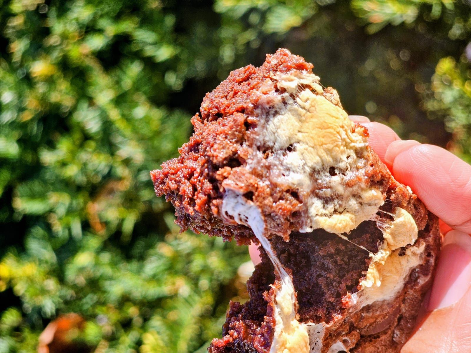 Day 6 of 12 Days of Christmas ✨
Meet our Toasted Marshmallow Brownie
Rich, fudgy, chocolate topped with gooey, toasted marshmallow goodness.
Think fireside vibes, minus the campfire ☕🔥
Holiday comfort in every bite.