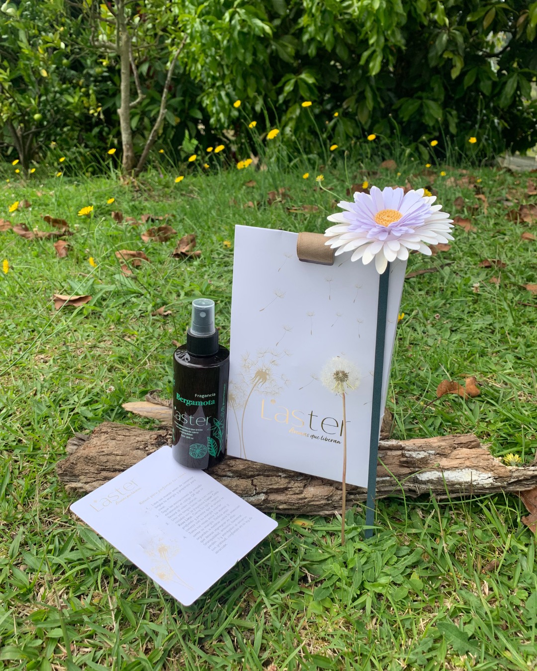 ✨ Ritual Florecer Bergamota – $45.000 ✨
El regalo perfecto para esta temporada 🌲🎅🎄
Incluye todo lo necesario para una experiencia de aroma y bienestar:
.
.
✔️ Fragancia L’aster Bergamota, aroma cítrico/frutal que ayuda a relajar y conciliar el sueño.
✔️ Ritual impreso con pasos y QR tutorial.
✔️ Empaque especial de Navidad listo para regalar🎁.
Ideal para sorprender con un detalle diferente, significativo y elegante.
📩 Escríbenos y pide el tuyo.