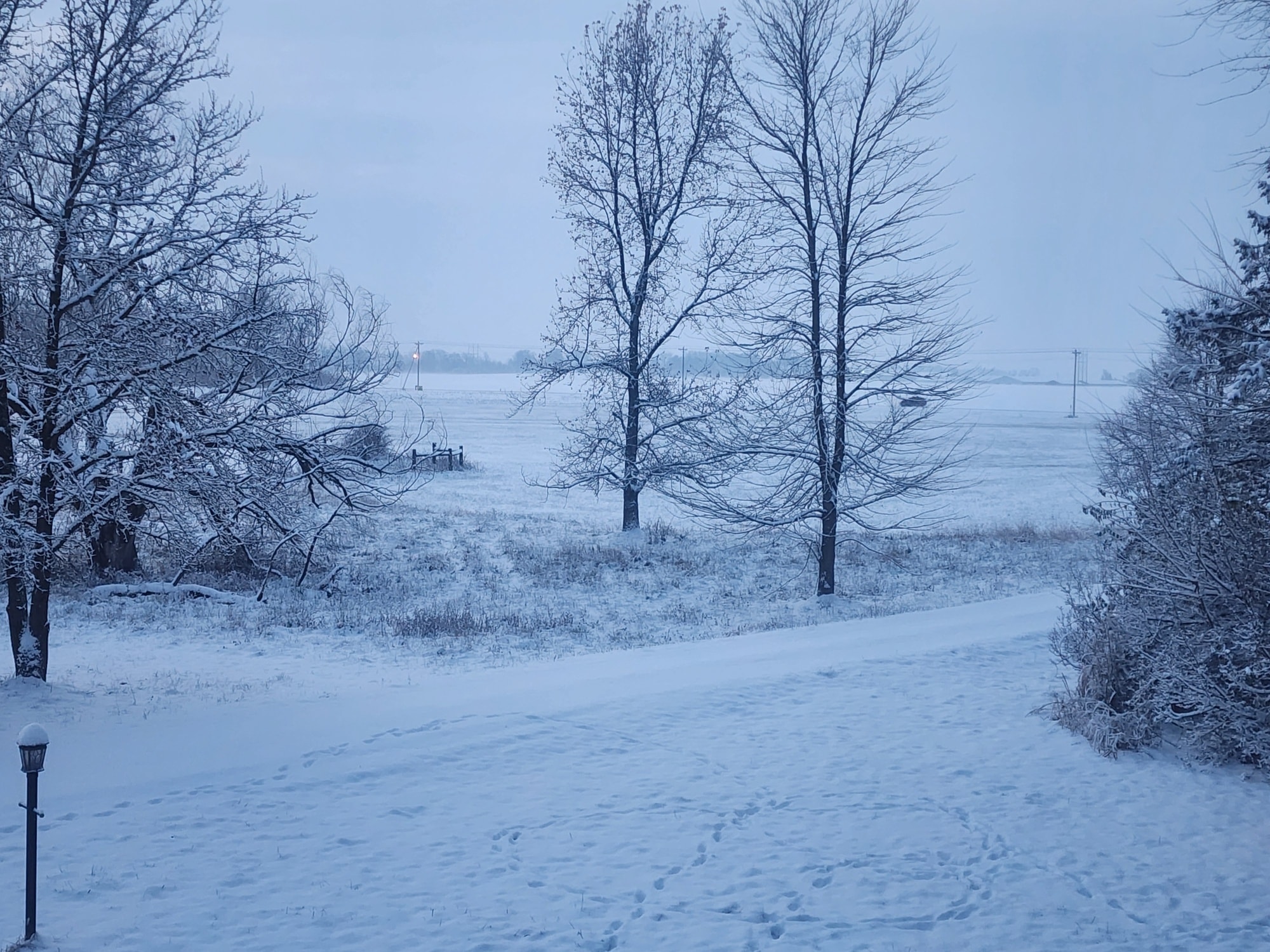 Snowy mornings on the farm hit different ❄️💙 Nothing but quiet fields and crisp winter air.
#TheShireFarm #LifeAtTheShire #ShireFarmDays