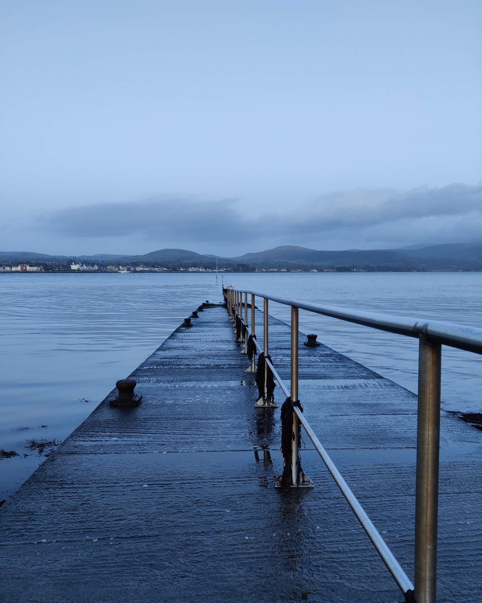 A breath of sea air and a view… welcome to Omeath 💙⛰️
Whether you’re strolling the peaceful seafront promenade or taking in the beauty from the pier, this little coastal village has charm in every direction. With Carlingford Lough sparkling ahead and the Mourne Mountains standing tall beyond, it’s the perfect pause point on the Sea Louth Scenic Seafood Trail.
Don’t forget to stop for your Omeath stamp and soak in those picture-perfect views 🗺️✨
Find out more here /www.sealouth.ie/omeath
#SeaLouth #IrelandsAncientEast #KeepDiscovering #See #Eat #Admire #Omeath #CarlingfordLough #ScenicSeafoodTrail #VisitLouth #LouthViews