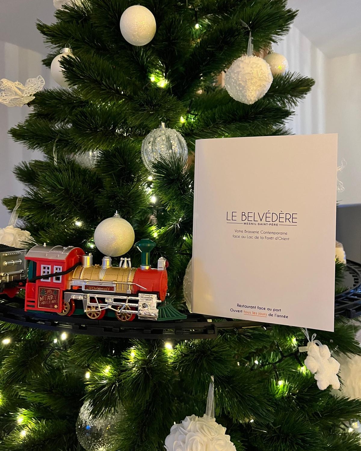 À LA RECHERCHE DU CADEAU PARFAIT ?🎁
Cette année pour faire plaisir à vos proches, optez pour les coffrets cadeaux du Belvédère ! Que ce soit notre Menu « Au Bord de l’Eau » ou un chèque cadeau, il s’agit d’une véritable expérience culinaire face au Lac de la Forêt d'Orient ✨
🎅 Idée cadeau idéale : élégante, gourmande et prête à offrir !
✨ Disponible sur notre boutique en ligne (lien en bio)
🎄 Recevez vos jolis coffrets chez vous pour offrir sous le sapin, ou instantanément par mail.
Faites briller les yeux de ceux que vous aimez 🌟
Offrez Le Belvédère
Bonnes fêtes au Belvédère 🩵