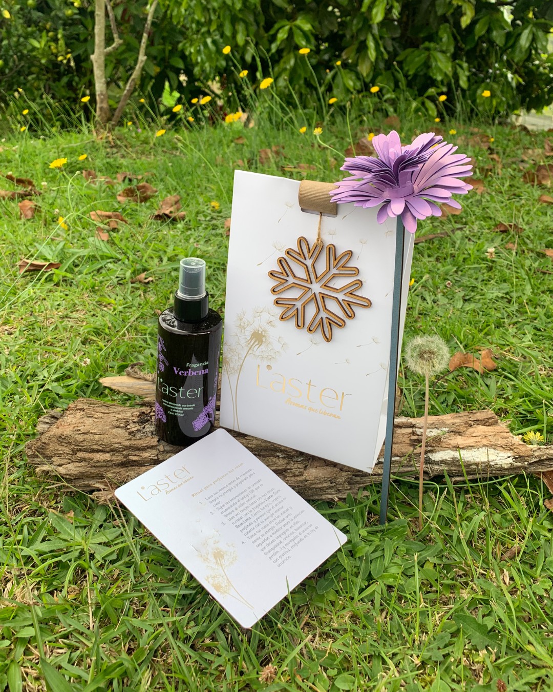 ✨ Regala armonía en esta Navidad ✨
Nuestro Ritual Florecer verbena está pensado dar un momento de renovaciòn y de paz.
.
.
.
🌿 Incluye:
• Fragancia L’aster Verbena de 200 ml
• Ritual Florecer con QR tutorial.
• Empaque especial de Navidad.
🎁 Perfecto para regalar bienestar o para darte un momento de calma.
#Bienestar #Aromaterapia #Navidad #Rituales #Laster #RegalosConAmor