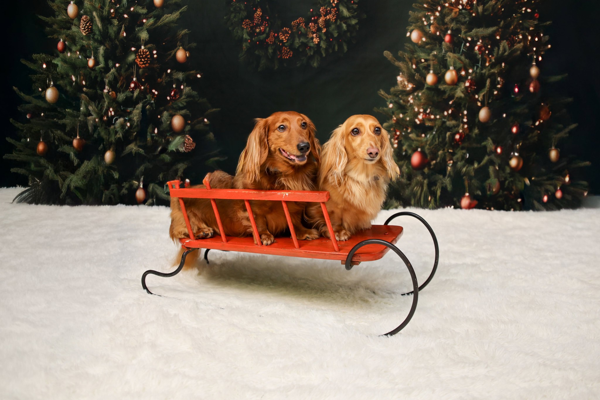 Fabulous pic Jana Battle Thanks so much! So cute.