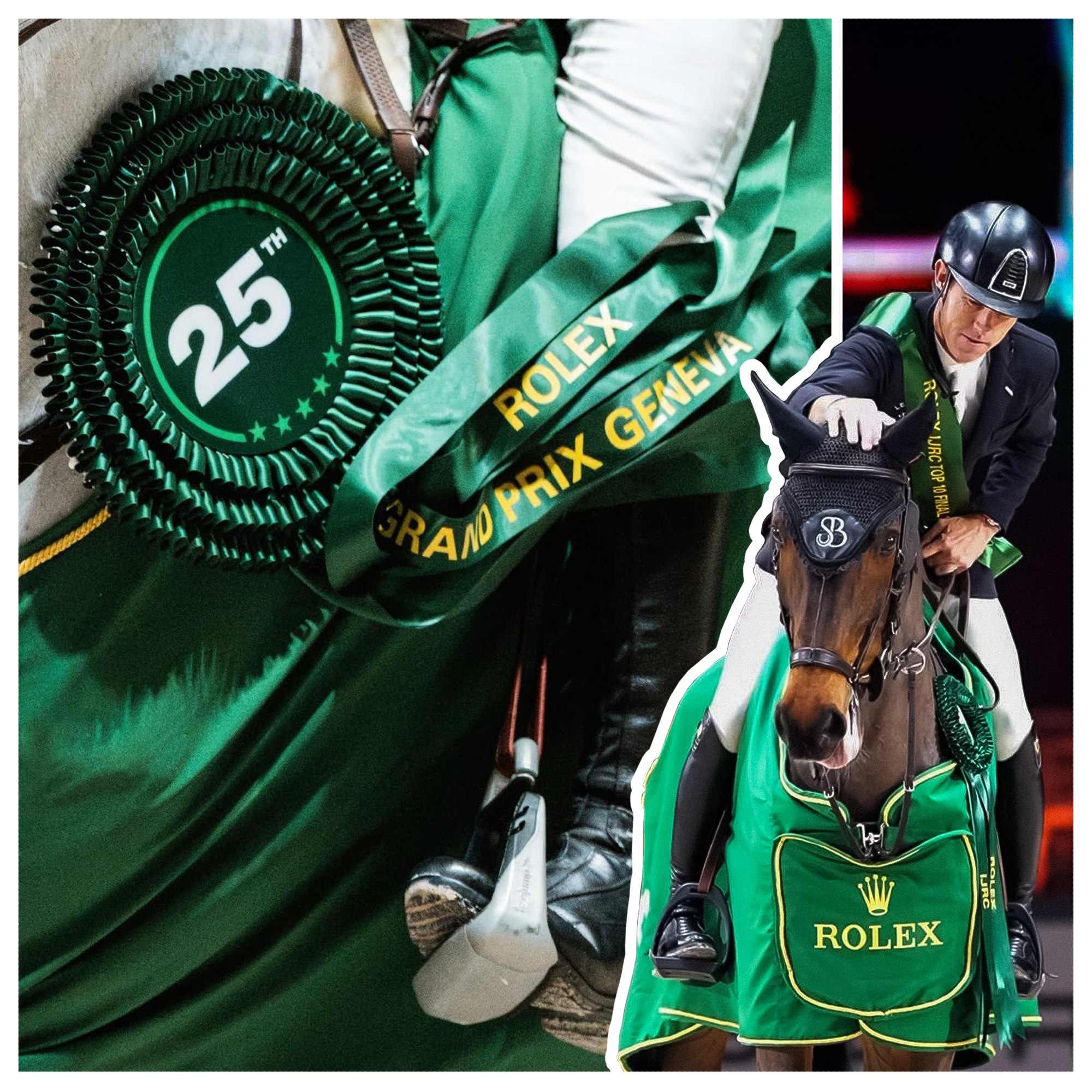 Durant le mois de décembre, nos récompenses ont été mises en valeur lors de deux prestigieuses compétitions. ✨
Après Equita Lyon, c’est au Salon du Cheval de Paris et au CHI de Genève que notre travail a été mis en lumière.
Un grand merci pour leur confiance ! 🙏
On se donne rendez-vous en janvier pour une nouvelle année ! ✨🐎