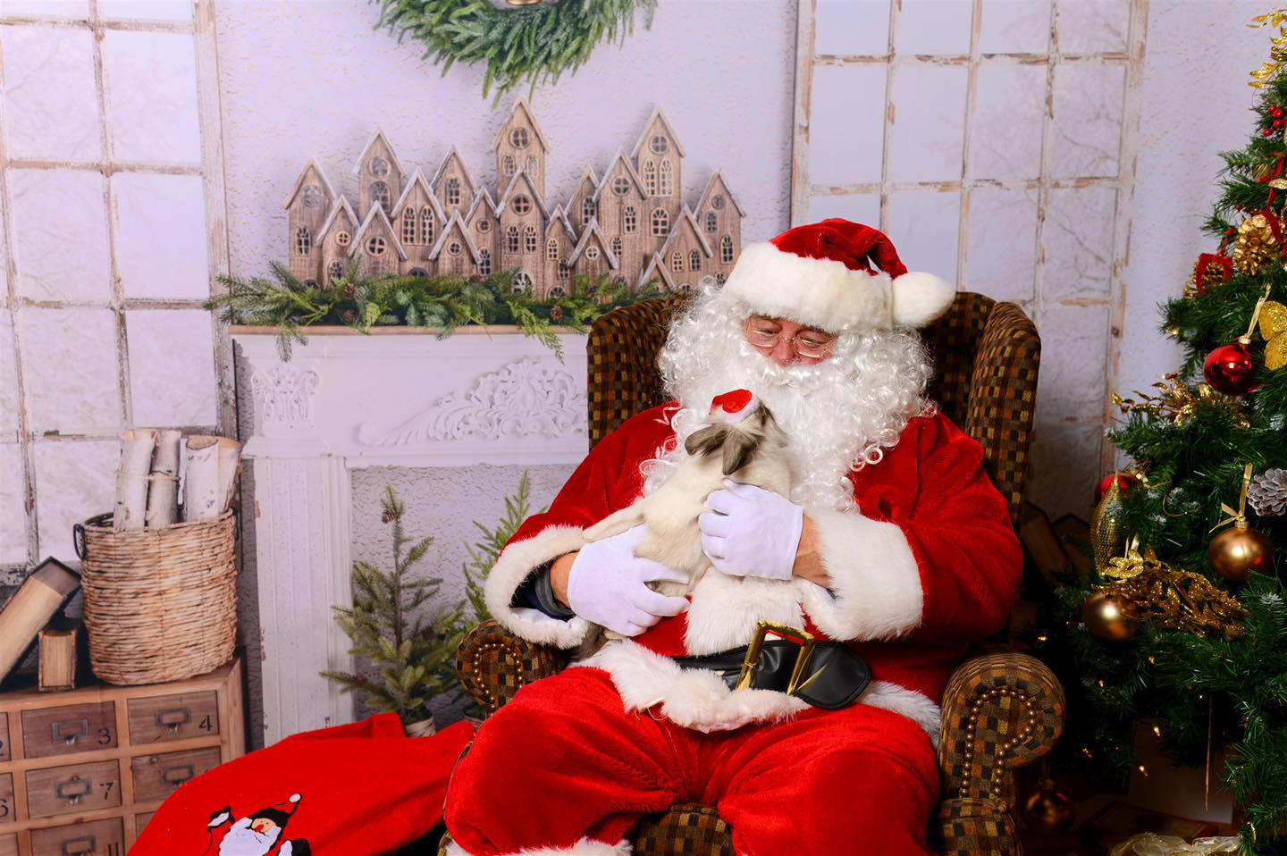 🎄🐰✨ Bunny’s turn with Santa!
This little fluffball hopped right onto Santa’s lap to share his Christmas wish list — and maybe a few extra cuddles too. ❤️🎅
Holiday magic isn’t just for kids… it’s for every bunny!
Hashtags:
#ChristmasMiniSessions #SantaPhotos #HolidayMagic #PetPhotos #BunnyLove #LethbridgePhotographer #SouthernAlbertaPhotography #Christmas2025 #HolidayMemories #FestivePhotos #YQLPhotographer #MeganKelseyPhotography