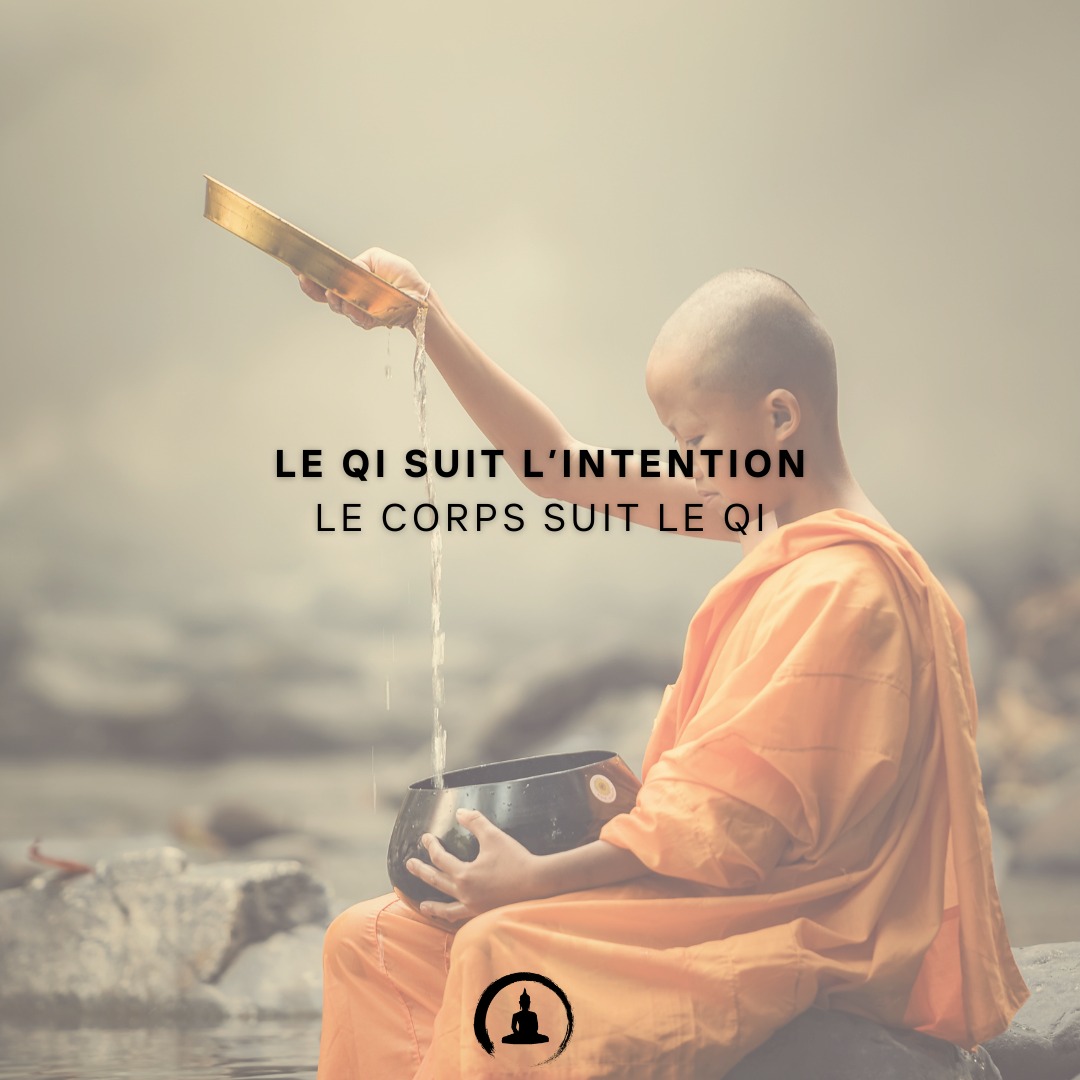 Le Qi suit l’intention. Le corps suit le Qi
📍 Cabinet Zen Garden - Carouge
🔹 Acupuncture | Fasciathérapie | Thérapies énergétiques
🔹 Approche holistique pour harmoniser corps & esprit
🔹 Prenez soin de votre santé naturellement
📲 RDV & infos sur 👉 www.cabinet-zengarden.org
💬 Vous avez déjà essayé la Médecine Chinoise ?
Dites-moi en commentaire ! ⬇️
#MédecineChinoise #Acupuncture #Fasciathérapie #BienÊtreNaturel #ZenGarden #Carouge #SantéHolistique #ÉnergieVitale