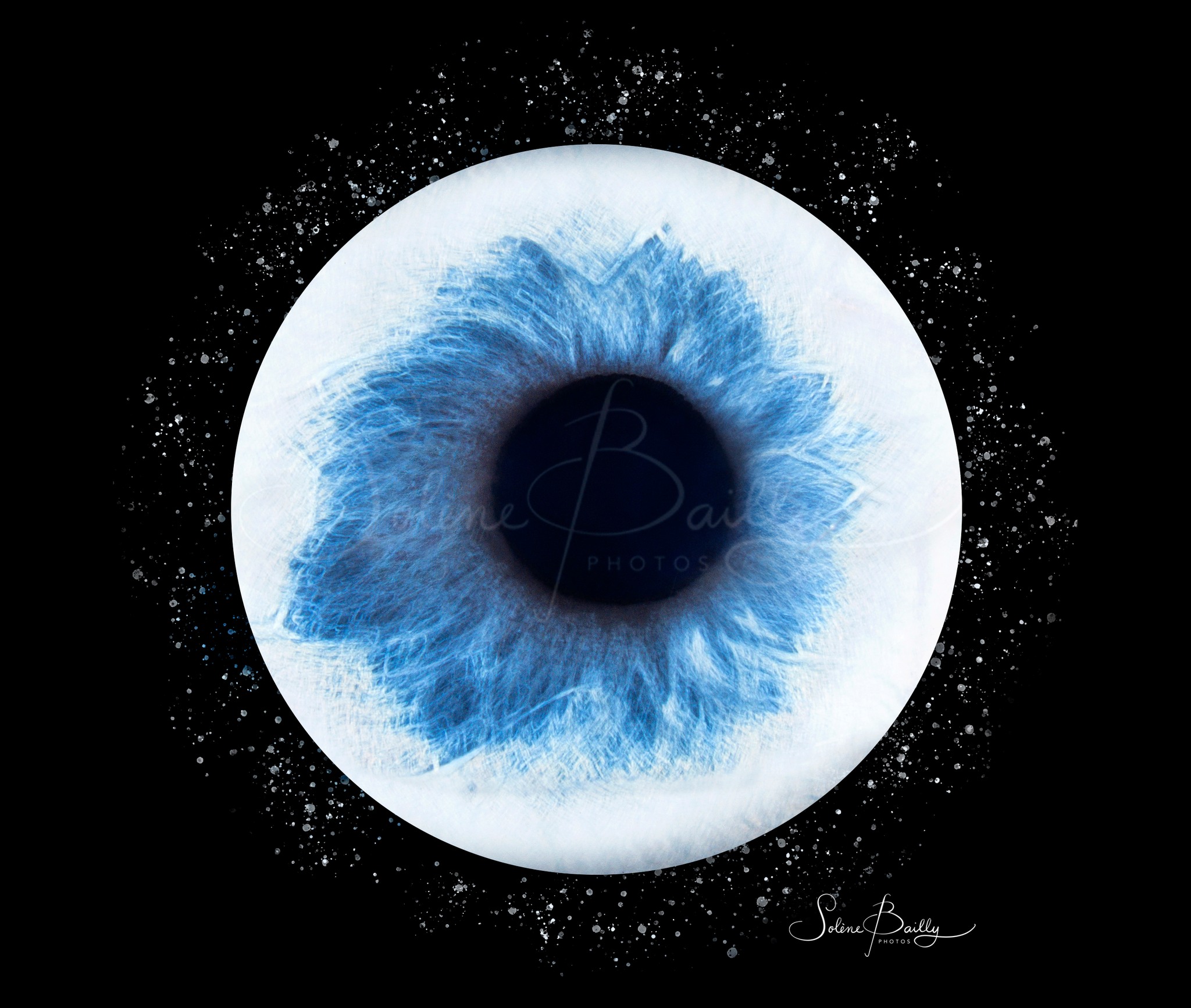 Comment trouvez-vous l'iris de Vicky ?
🎁 À la recherche d’une idée cadeau originale ?
Offrez une photo d'iris ! Humains et/ou animaux.
Si vous aussi vous souhaitez immortaliser l'iris de votre animal de compagnie ou ceux de toute la famille n'hésitez à prendre contact avec moi, je me déplace à domicile pour plus de simplicité dans votre organisation 😉
.
. #iris #photodiris #irishumain #irishumainanimal #irisanimal #irischien #portrait #ideecadeau