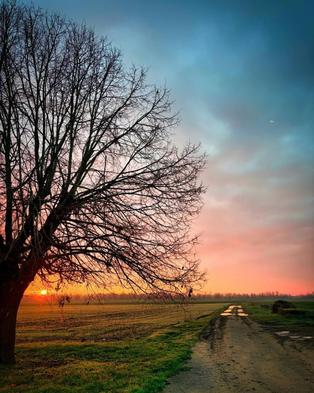 Photodump de décembre
1. Lever de soleil l'hiver ☀️
2. balade en forêt 🌲
3. décor enneigé sur les Hauts de Sancerre ❄️
4. douceur d'hiver 🍃
#Loireenvie #hiver #photodump #berry #sancerre
📷 nathrenoux / saintlaurentetsesabbayes / hautsdesancerre / instantphoto_71