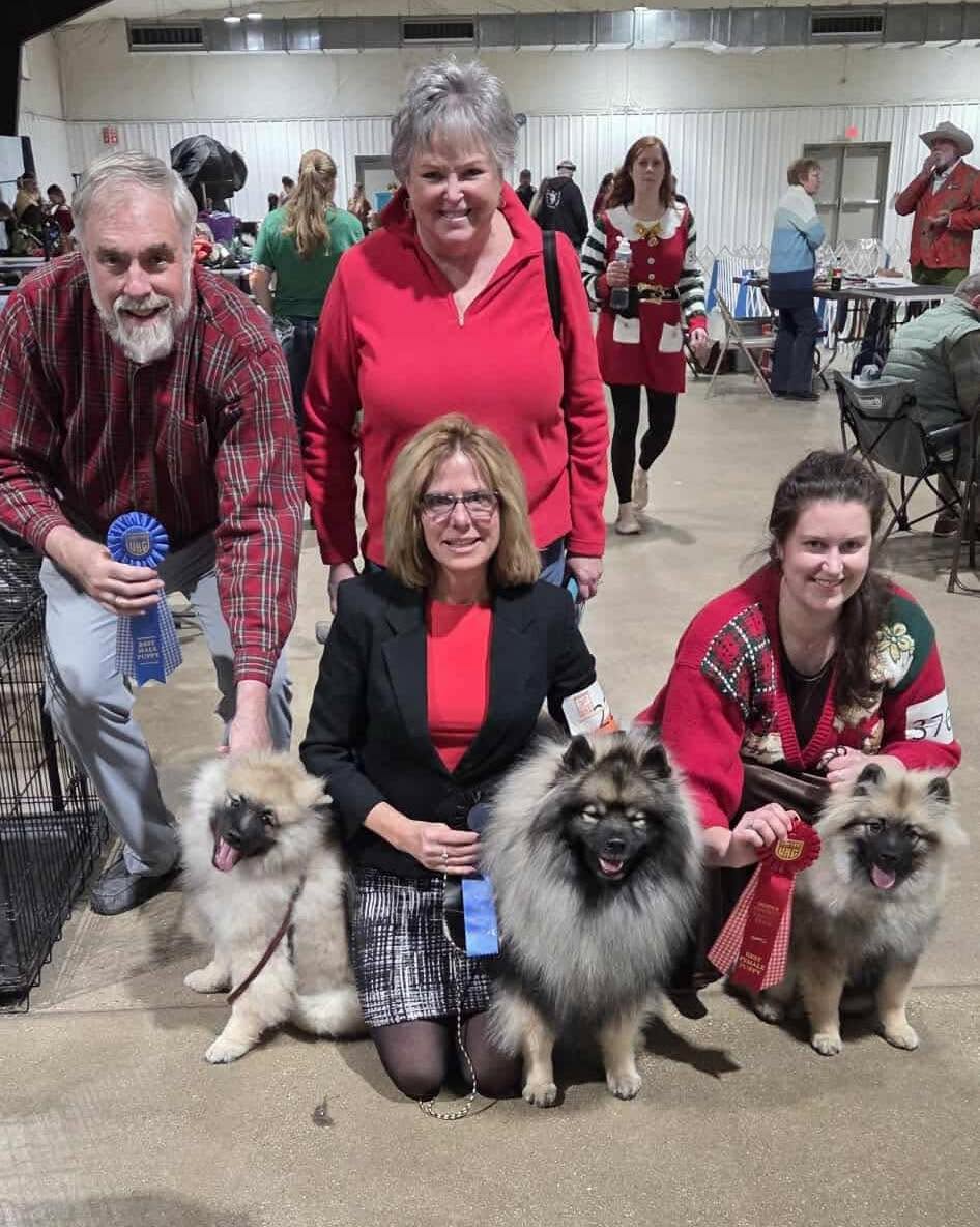 Love this photo of these Peregrine Pups that braved the frigid temps (I did not 🫣) at a UKC event in WI yesterday!
Mark and Pat with Whiskee, Pam with Dillon and Nichole with Liska! Way to represent!
#ukcdogs #showdogsoninstagram #showkeeshond #peregrinekeeshond #keeshondsofinstagram #keeshond #dogshows