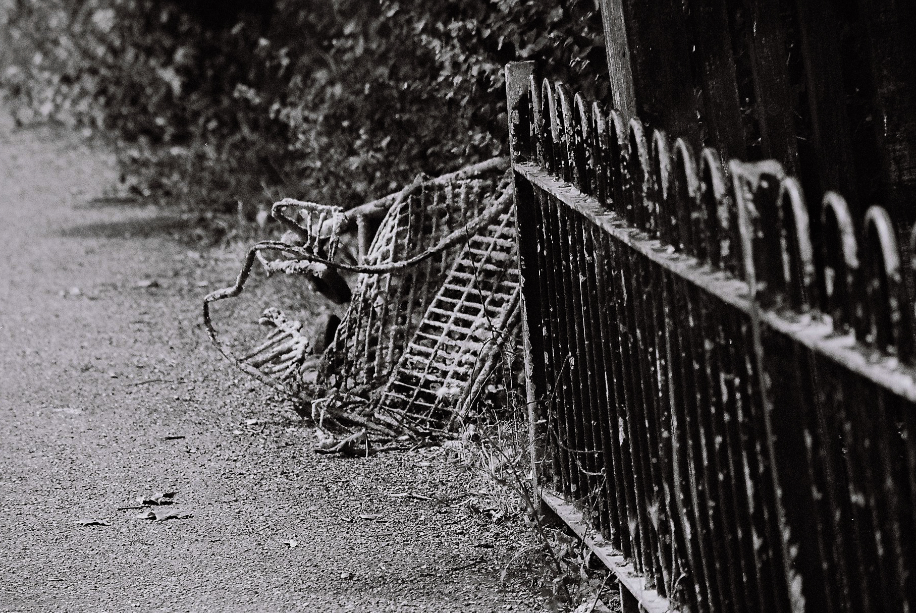 A day late again.
The blog was meant to go up on Sunday, which probably tells you everything you need to know already.
This one’s about Prague, film, and the idea of committing to something that might not work.
No safety nets. No previews. Just trusting the process and seeing what comes back.
Sometimes the writing takes longer than planned.
Sometimes that’s because life gets in the way.
Sometimes it’s because you’re still working out what you actually think.
Anyway, it’s live now. Link in bio!
Better late than rushed.
#ImACameraGuyNow #OneMistakeAtATime #PhotographyBlog #FilmPhotography #StillLearning #CreativeProcess