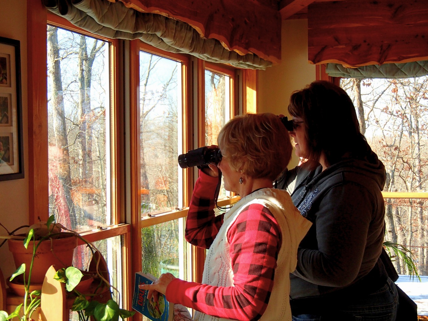 LAST CALL for tomorrow’s WINTER BACKYARD BIRDING program!
We’ve got a few spots left, and it’s the perfect low-key way to enjoy a cozy winter morning while learning something new.
We’ll be inside, warm and relaxed, watching the action at our south-facing feeders and uncovering the fun stories behind winter bird behavior. Binoculars, spotting scopes, and guides are all provided.
FREE for Gasconade County R-2 OES, GES, and OMS families
(Students must attend with an adult.)
📅 Tomorrow — Saturday, December 13th, 2025
🕘 9–11 AM
Claim a spot here:
https://www.earthsclassroom.org/event-details/winter-backyard-birding-1