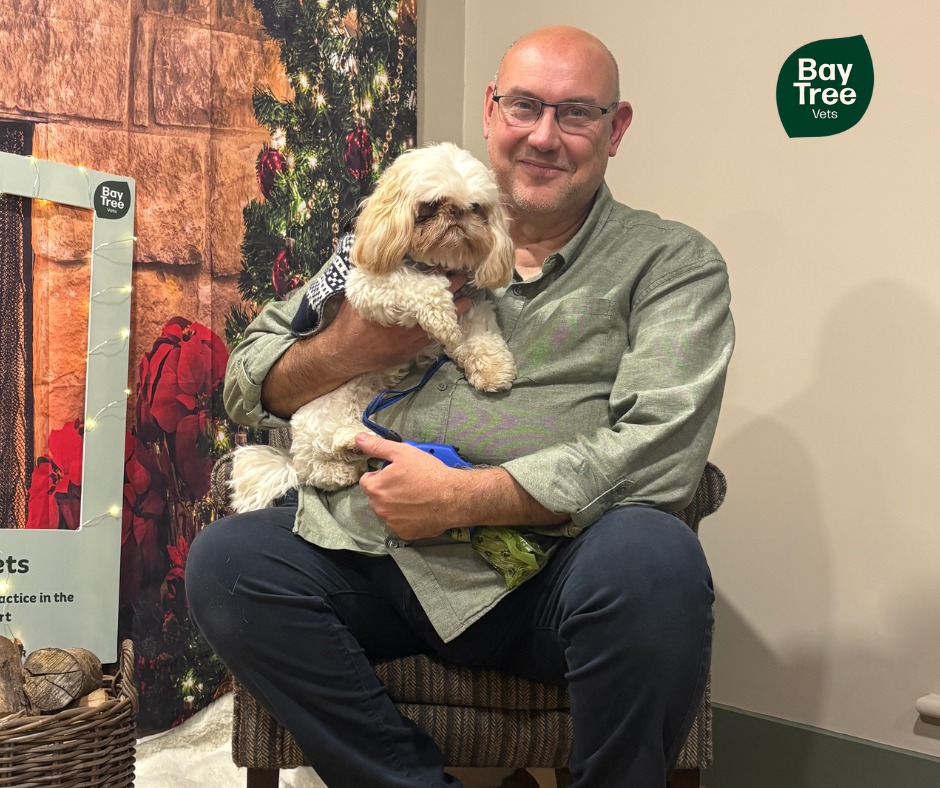Meet Wilf-Ronald!
Wilf has attended three socialisation/ confidence clinics. He was very scared at the vets and that could sometimes lead to him lashing out if he felt scared. He came to confidence clinics where we worked on consent based exams and taught him commands for exam, the bucket game as a means of focus and positive reinforcement and to allow him some form of autonomy during husbandry tasks and building overall confidence. Wilf has done really well and now comes running into the practice and is happy to have an exam, provided he gets to sit on his own special blanket and gets to eat a treat from his special bucket. Well done Wilf, you are super-star! 👏👏
Thank you to our nurse Gemma who has worked so hard with Wilf and his owners.💙