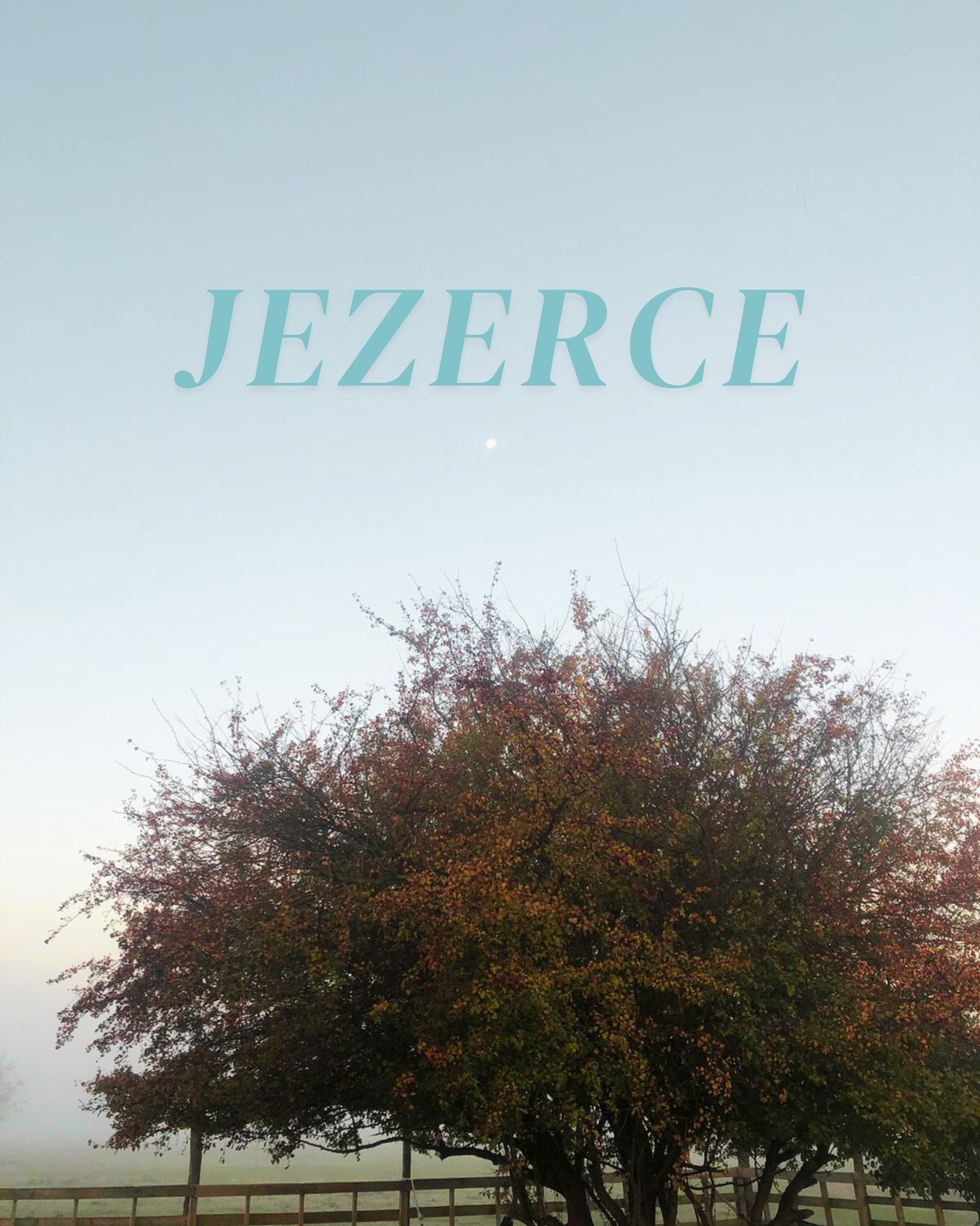 U srcu Zasavice nalazi se malo jezerce koje čuva tihu, zaštićenu prirodu ovog rezervata.
To je stanište retkih biljnih i životinjskih vrsta, mirna oaza u kojoj voda, trska i ptice žive u savršenoj ravnoteži. 🌿
Zbog toga boravak ovde uvek donosi poseban osećaj mira, kao da vas priroda polako vraća u ritam koji nam svima prija.
Upravo ta blizina netaknute prirode čini Buzzoffski Cabins mestom gde odmor postaje dublji, tiši i iskreniji. ❄️
Iskoristite kod za popust BUZZOFFSKIWINTER i ostvarite 20% popusta na sve rezervacije u zimskom periodu.