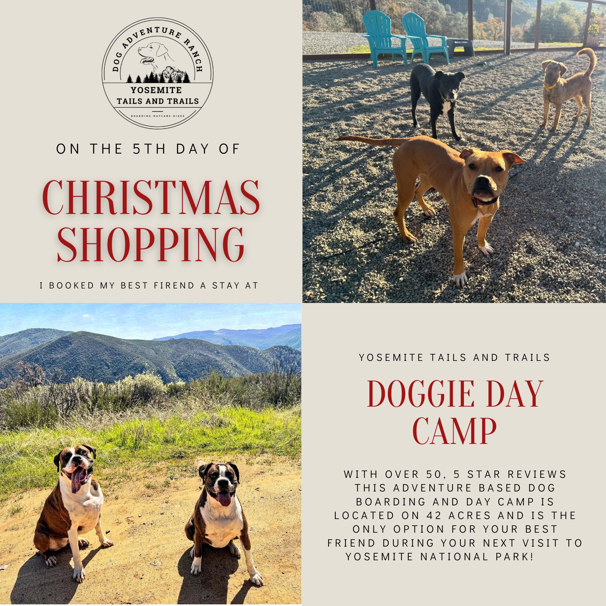 🎅🏽On the 5th day of holiday shopping Santa reserved your best friend 🐾 a stay at the best doggie day camp in the Yosemite region!
@yosemitetailsandtrails is taking reservations, so you can enjoy your Half Dome hike this July knowing that your pups are exploring 42 acres of trails and tails!
👉Dont scroll until you share a picture of your best friend!
🐶🐕🐩BRING ON THE PUPPER PICTURES!!!🐺🐕🦺🦮
#shoplocal #YosemiteBasecamp #Yosemite #yosemitetailsandtrails