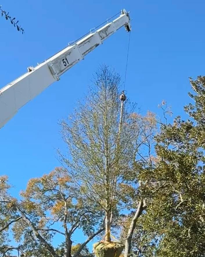 Having a hard time thinking of the perfect gift for your spouse or loved one? Struggling with that one person that has everything?!?
How about a new driveway with brick inlay?!?!
Or a 7” Caliper Oak Tree?!?!
Or a beautiful paver patio and fire pit?!?
Or a synthetic turf putting green?!?!
Looking for the perfect gift that keeps on giving? Reach out to Jacobs Land Management and allow us to put together the ultimate gift that will truly be remembered and cherished for a lifetime!!
#merrychristmas #treesmakegreatgifts #growinggiftsfromthegroundup #notallgiftshavetofitunderthechristmastree ##jacobslandmanagement