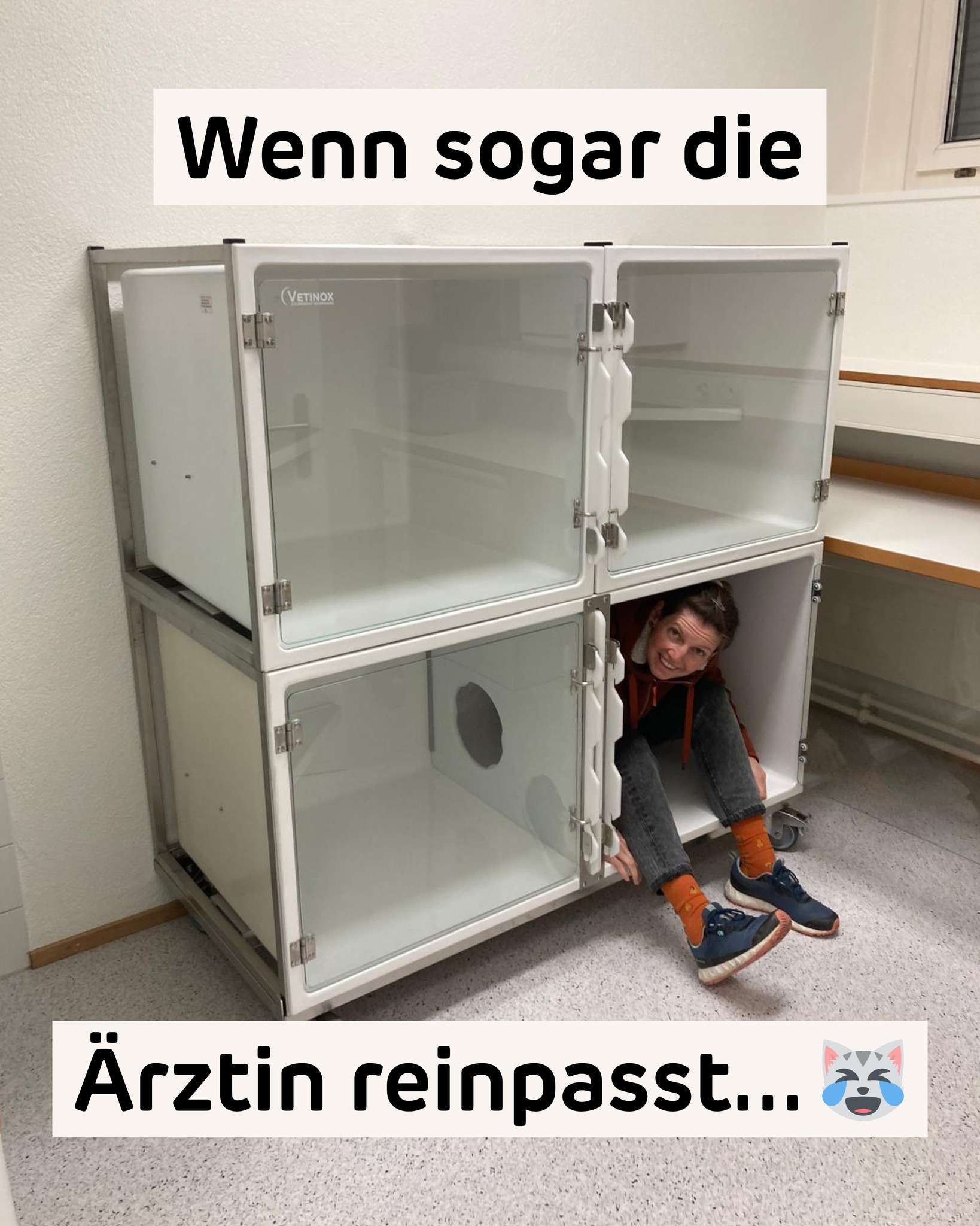 …dann sind die Boxen gerade gross genug fürs Büssi. 💕
Die Cat-Friendly-Boxen wurden heute geliefert – der Techniker musste sie auseinanderbauen, damit sie um die Ecke und in unseren Hospitalisationsraum passten!
Diese Boxen sind für die Katzen da, die etwas länger bleiben müssen. Sie bieten dem Büssi genug Platz, auch dank einer eingebauten Plattform auf halber Höhe. Die Tür ist aus Panzerglas statt Gitter, weil das die Wärme viel besser drinbehält. Die Wände sind aus mattem Kunststoff statt aus Metall, weil das nicht spiegelt und angenehmer ist.
Natürlich werden die Boxen noch gefüllt mit Decken, kleinen Rückzugsmöglichkeiten und feinen Snacks. Die beiden unteren Boxen kommen bei besonders langen Aufenthalten zum Einsatz. Sie sind durch einen Durchgang verbunden – eine kleine Hotelsuite sozusagen. 🏨💖