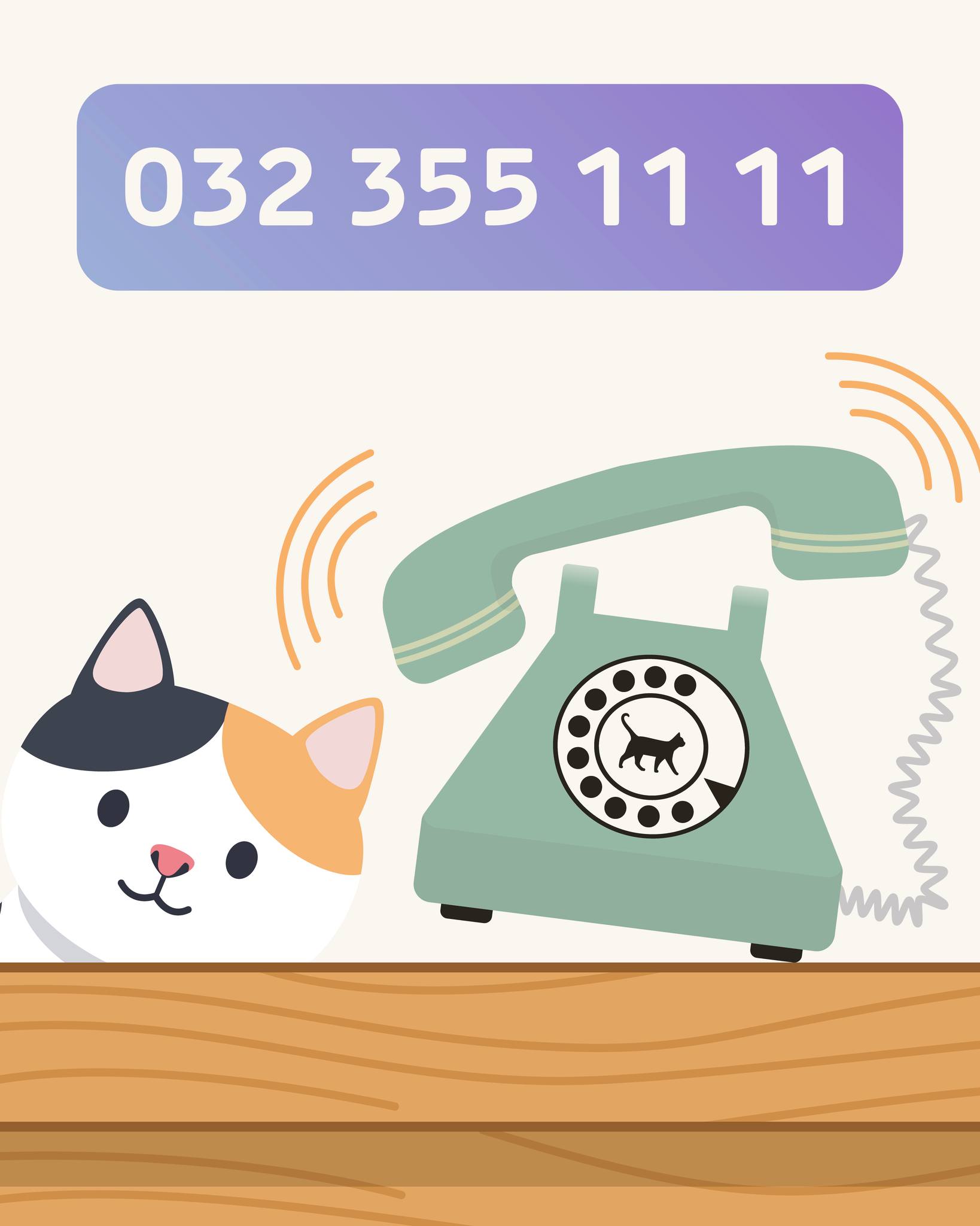 ☎️ 032 355 11 11
Ab sofort sind wir Montag–Freitag von 8-12 und 14-17:30 Uhr telefonisch erreichbar und vergeben Termine! 😻
Schon bis jetzt haben uns erste Termin-Anfragen per Email und in Person erreicht. Es freut uns unglaublich, dass unsere neue Praxis bereits vor der Eröffnung auf solches Interesse stösst!
Vielleicht ist es ja gerade wieder mal Zeit für einen Routine-oder Alters-Check, eine Impfung oder eine Ernährungsberatung? Oder das Büssi hat gerade etwas, das die Katzen-Ärztin besser mal anschaut? Dann ruft an und sichert euch einen der ersten Termine! ✍️📆
Und wenn gerade nichts ist: Umso besser! Vielleicht sehen wir uns stattdessen am Tag der offenen Tür am 10. Januar? Details folgen!