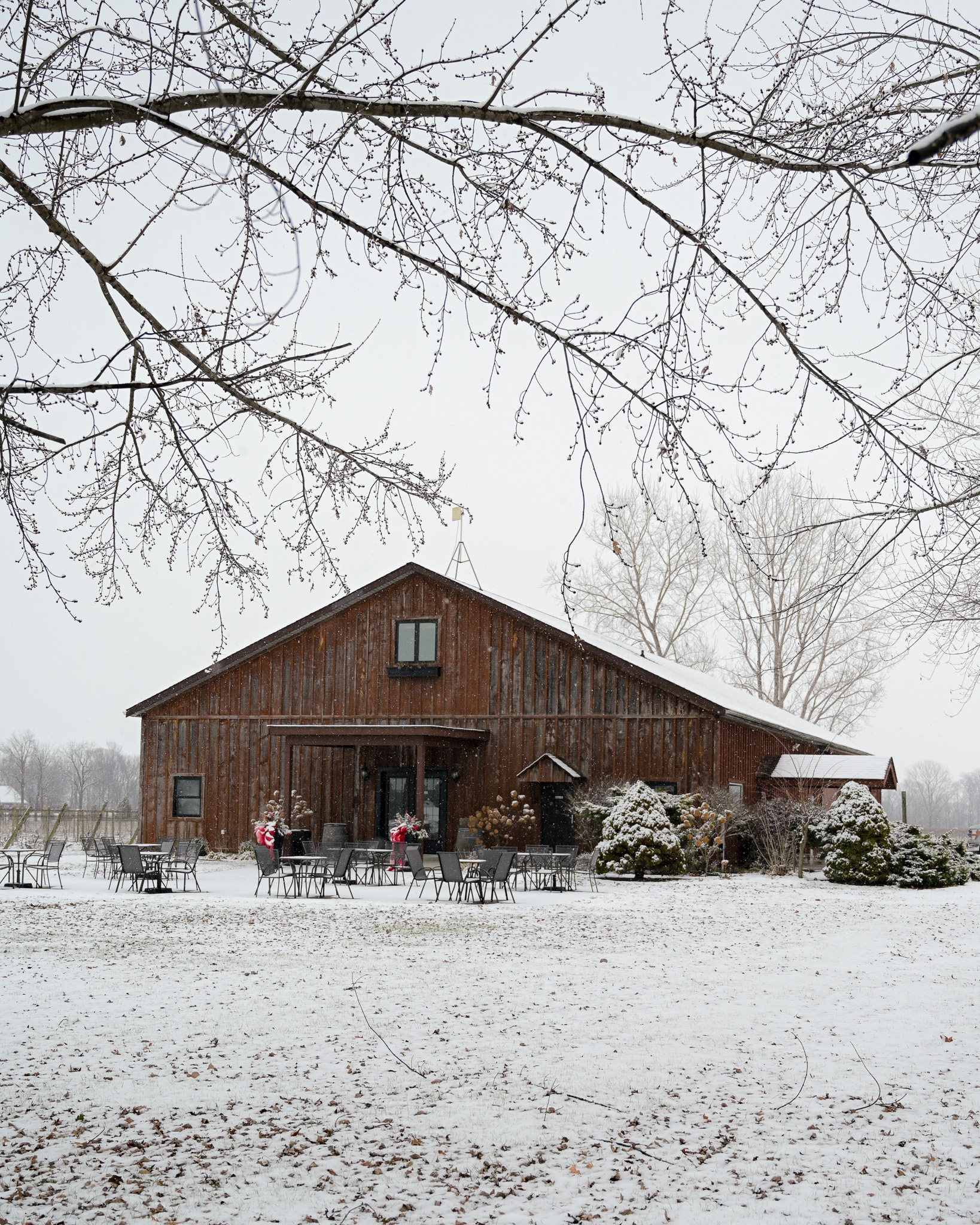 The holidays are about connection and there’s no better way to gather than over a great bottle of wine. 🍷 When you shop local, you’re supporting a local winery and choosing wines made to be shared, celebrated, and enjoyed all season long.
Shop individual bottles, a holiday gift pack, premium 2 and 3-bottle gift packs and holiday gift baskets here: vivace-estate-winery.square.site/s/shop
