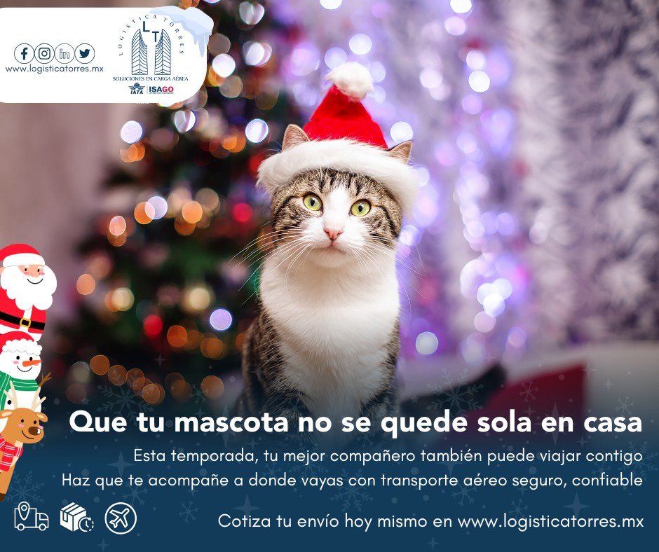 🐶🐱 Que tu mascota no se quede sola en casa 🌲🎅
Esta temporada, tu mejor compañero también puede viajar contigo.
Haz que te acompañe a donde vayas con transporte aéreo seguro, confiable y al mejor costo.
✈️ Viaje aéreo para mascotas
🐾 Manejo especializado y seguro
📋 Cumplimiento de requisitos y bienestar animal
Porque no es solo un viaje.
Es cuidar a quien siempre está contigo.
📲 Contáctanos y planea el traslado de tu mascota sin estrés.
🐾 Viajan seguros. Llegan contigo.
#ViajaConTuMascota #MascotasEnAvión
#TransporteDeMascotas #ViajeSeguro
#CargaViva #BienestarAnimal
#LogísticaAérea #ViajarJuntos #tucargasegura #tucargasegurayatiempo #logistica #volariscargo #logisticaytransporte #SomosLogisticaTorres #enviosnacionales