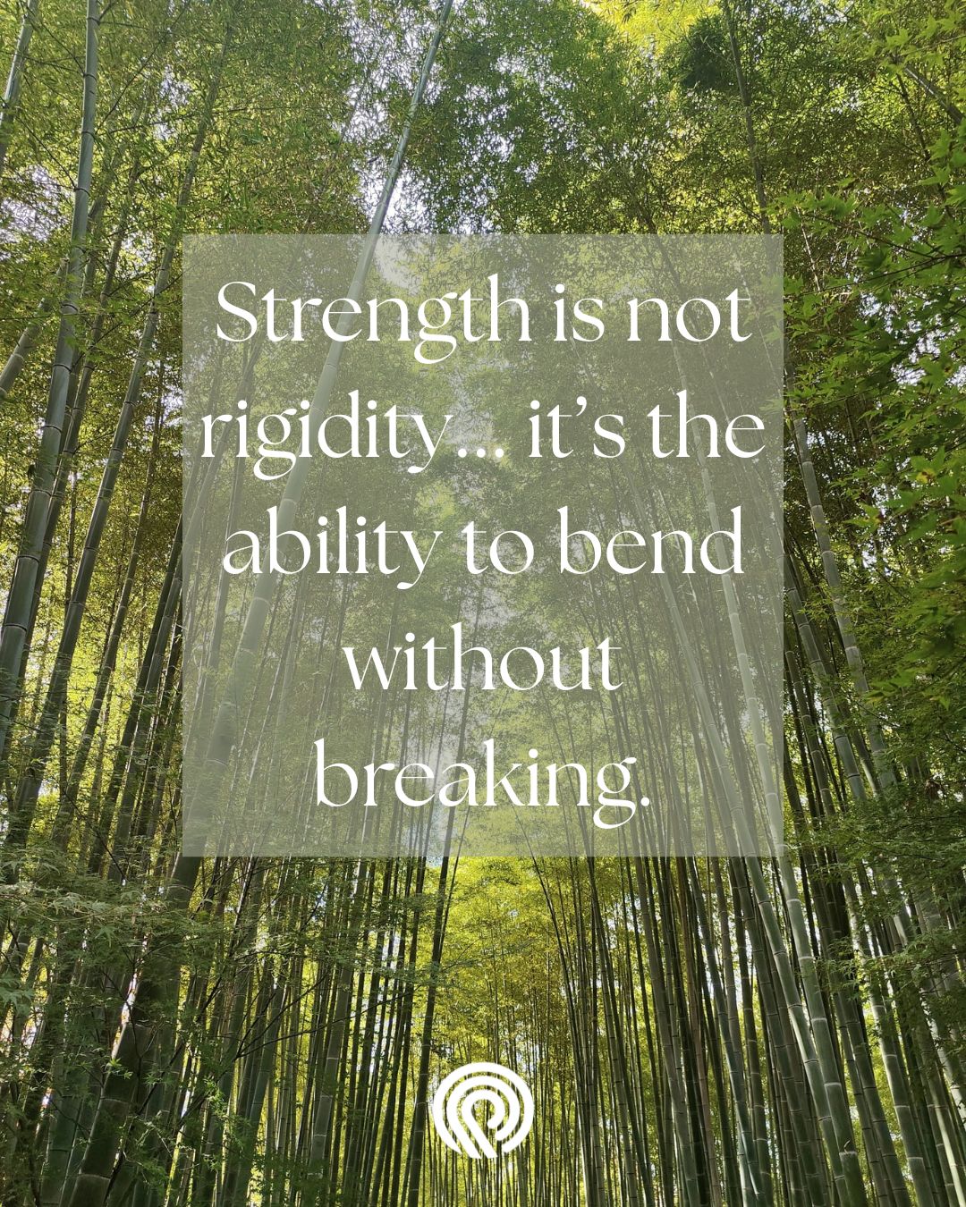 Bamboo rises tall, yet it sways with every change in the wind. It stands firm not because it resists, but because it adapts.
And in leadership, the same is true.
December often brings pressure, decisions, deadlines, and the quiet weight of everything we’ve carried throughout the year. It’s easy to equate strength with endurance… but real strength is resilience - the capacity to stay rooted while adjusting, to stay open while navigating stress, and to return to centre even when stretched.
If you’re curious about your own resilience as a leader, our tools can help you measure your current strengths - and our training can help you develop them intentionally.
As the year winds down, may you find space to bend, breathe, and reset. 🌿
🌐 www.thechangeagent.eu
📩 info@thechangeagent.eu
📸 : Dr Elaine Dutton
#TheChangeAgent #Leadership #LeadershipDevelopment #Leadership360