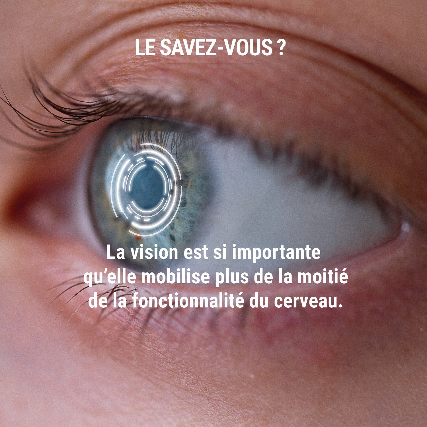 Nous continuons notre série d'information culture pour vous donner les petites anecdotes pour être le roi de l'apéritif pendant les fêtes... Et en prime, vous comprendrez mieux toute la puissance de la biométrie.