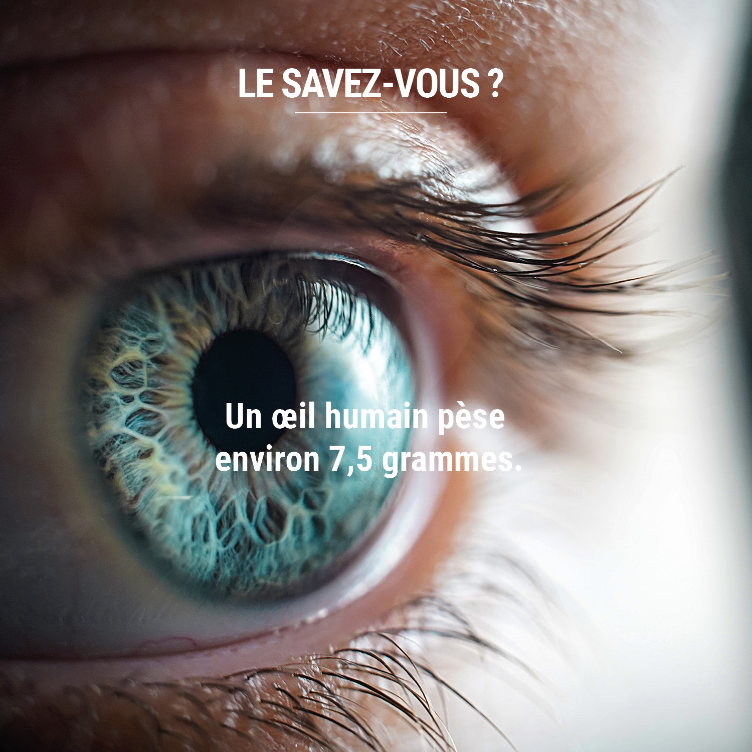 Éclairez l'apéritif de Noël avec des anecdotes peu communes !