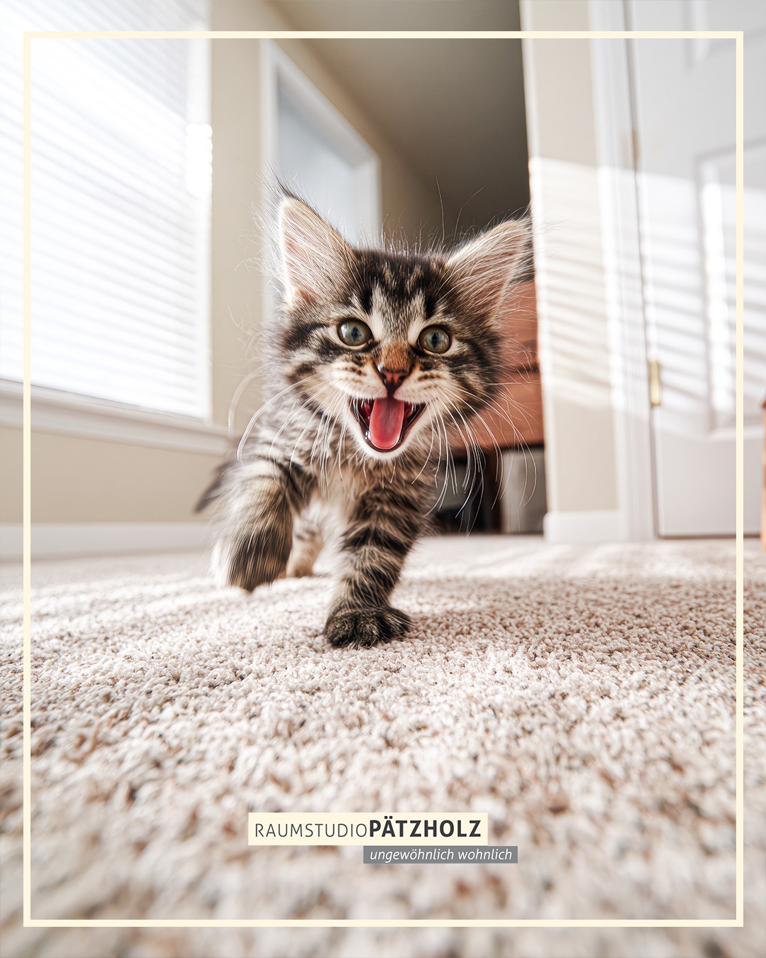 Hochwertiger
Teppichboden! ✨🏡
Wenn der neue Teppichboden von Raumstudio Pätzholz viel zu viel Spaß macht! Aus unserer vielfältigen Auswahl finden wir sicher auch den perfekten Bodenbelag für dein Zuhause!
Ungewöhnlich wohnlich:
www.raumstudio.com
#raumstudio #teppichboden #wohnen #bodengestaltung #interior #homestyle