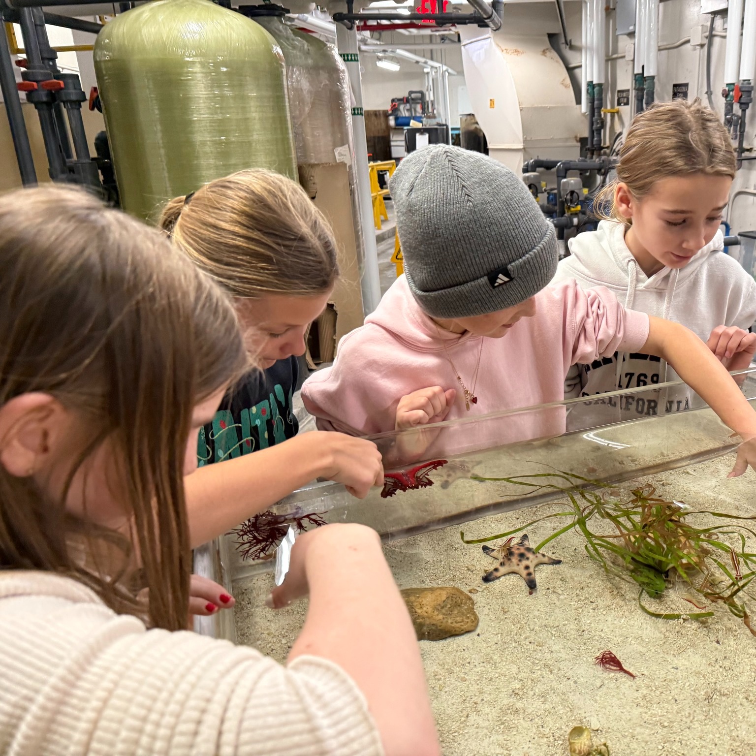 🦒🔬 Not every 5th grader gets to spend a week learning science behind the scenes at a zoo, but Legacy students do 🌿
Zoo Lab is a unique, week-long immersive experience at @johnballzoogr where our 5th graders become young scientists. From observing animals up close to learning about conservation and enrichment, students experience God’s creativity in unforgettable ways.
This is learning they will never forget 💚 Read more about their time by clicking the link in our bio and choosing "Stories".
#zoolab #johnballzoogr #learningatthezoo