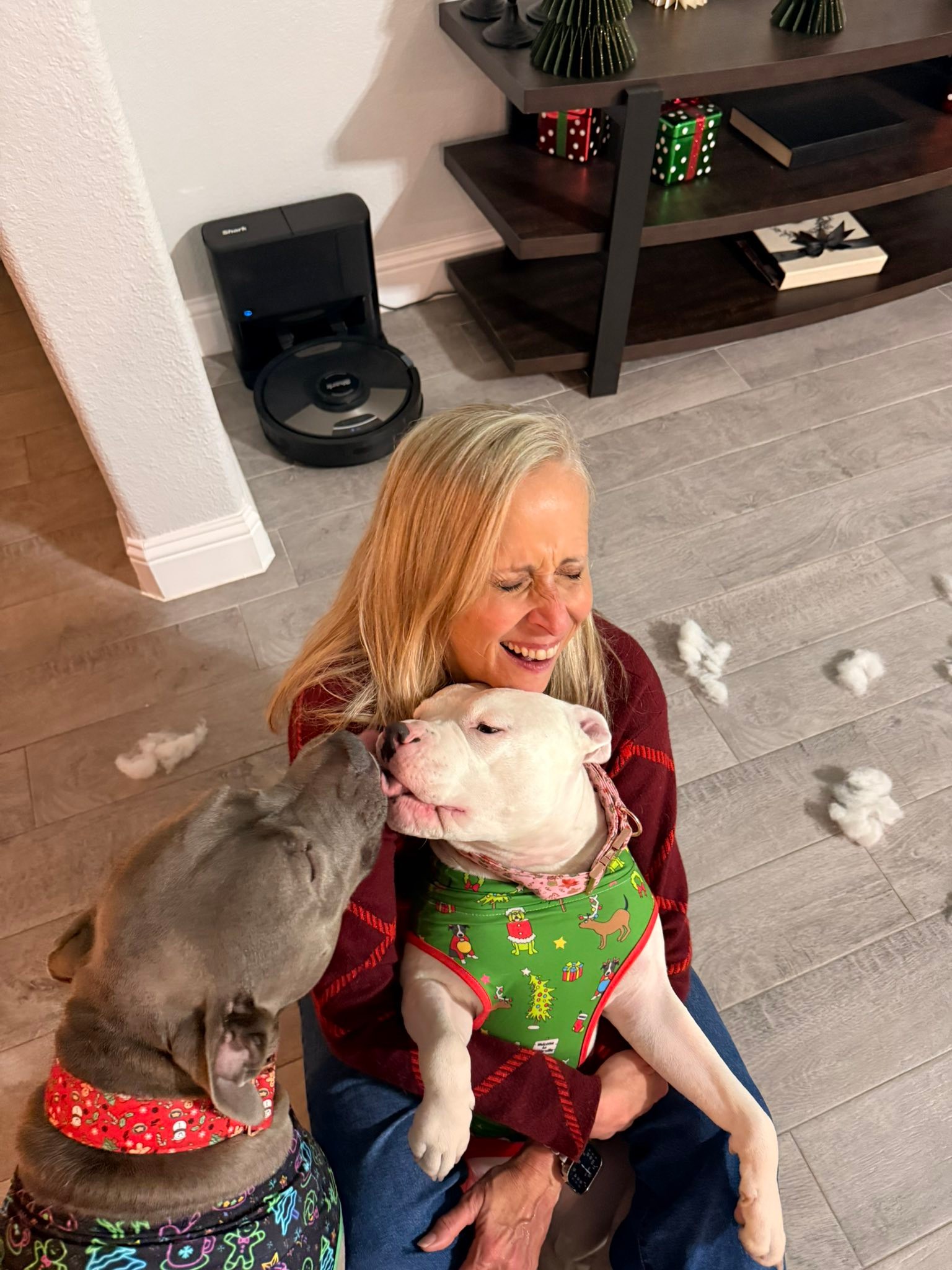 Best reason EVER to foster!!! Emma’s forever home! What a Merry Christmas for us🎄🩷🎄🩷