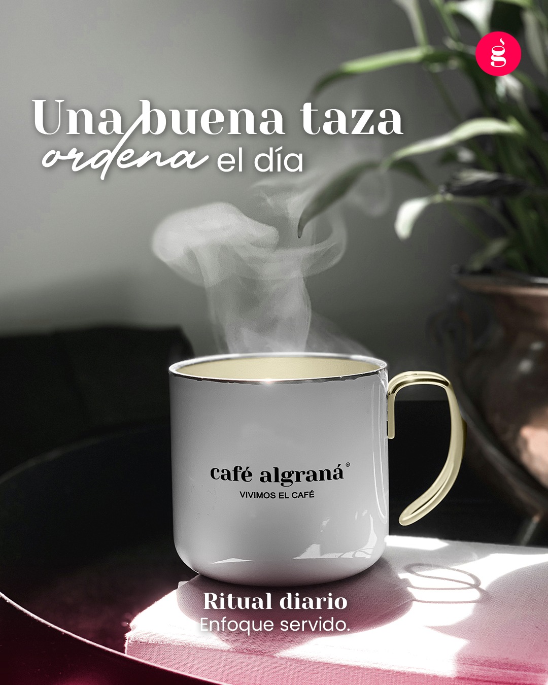 Ordena ideas. Respira. Toma café. ☕✨
#CaféAlgraná