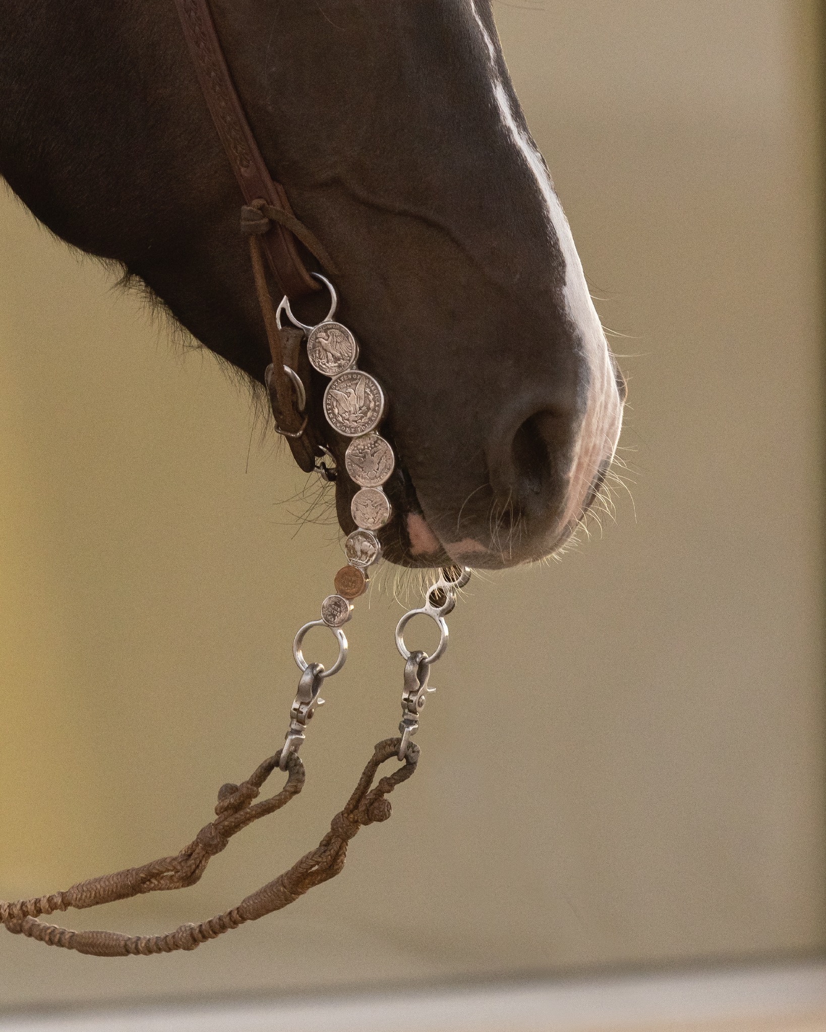 There is nothing better than Casino + Prada Marfa
#ashleyadamsmedia #pradamarfa #westtexasphotographer #equinephotographer