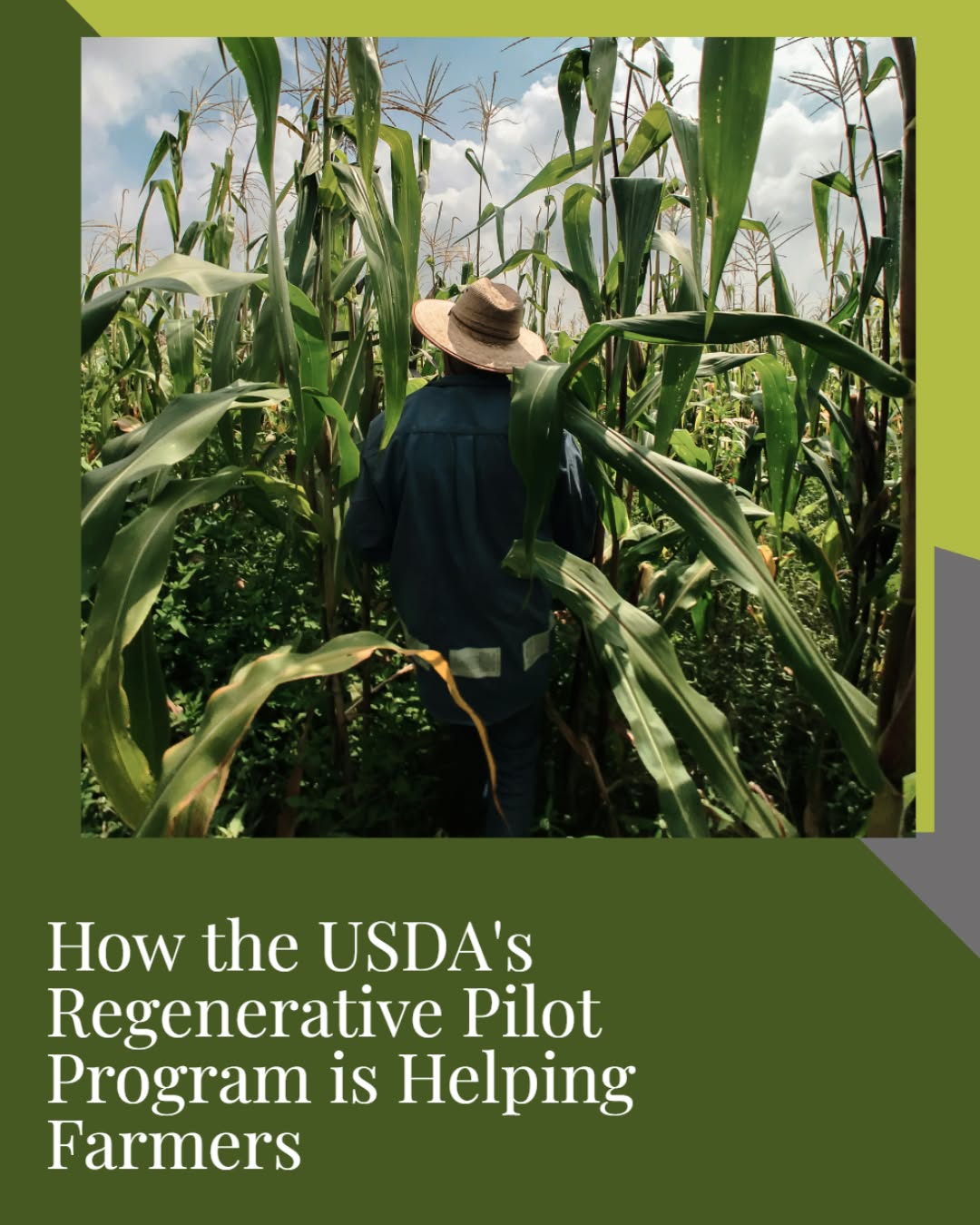 Regenerative agriculture isnât just a buzzword; itâs being supported at the federal level.
The USDAâs Regenerative Pilot Program is helping farmers rebuild soil health, improve resilience, and reduce long-term input reliance.
We break down what the program is, why it matters, and how it supports healthier soil systems.
Read the full story at the link in our bio.
#RegenerativeAgriculture
#SoilHealth
#HealthySoil
#SustainableFarming
#USDA