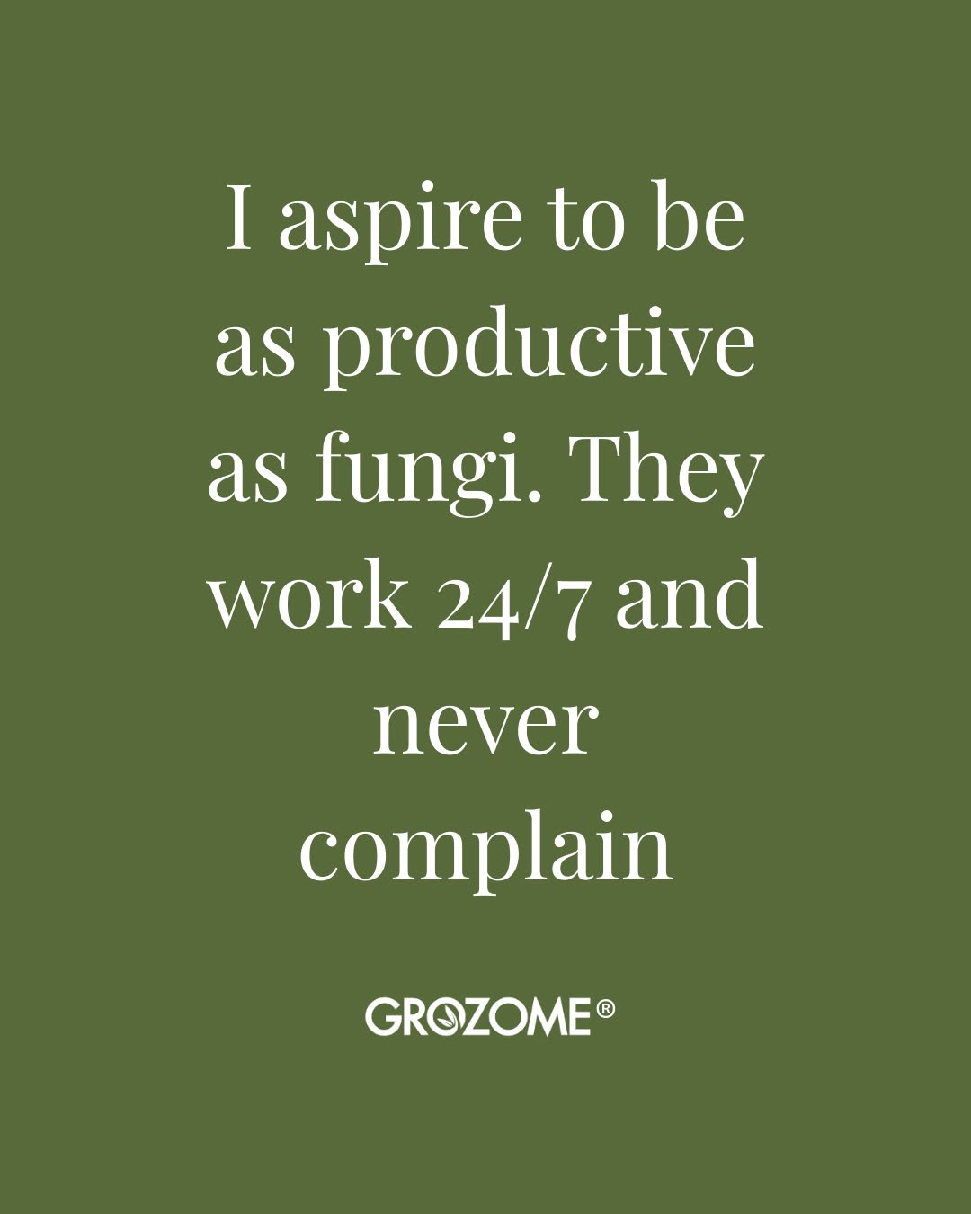 Fungi donât clock out.
They just keep improving the soil đ±
Thatâs the kind of productivity we believe in.
#Grozome #HealthySoil #SoilHealth #LawnCare #LawnCareTips #GreenerGrass #SoilBiology #MicrobialLife #OrganicLawn #SustainableLawn #EcoFriendlyLiving #NaturePowered #GrowBetter #SoilFirst