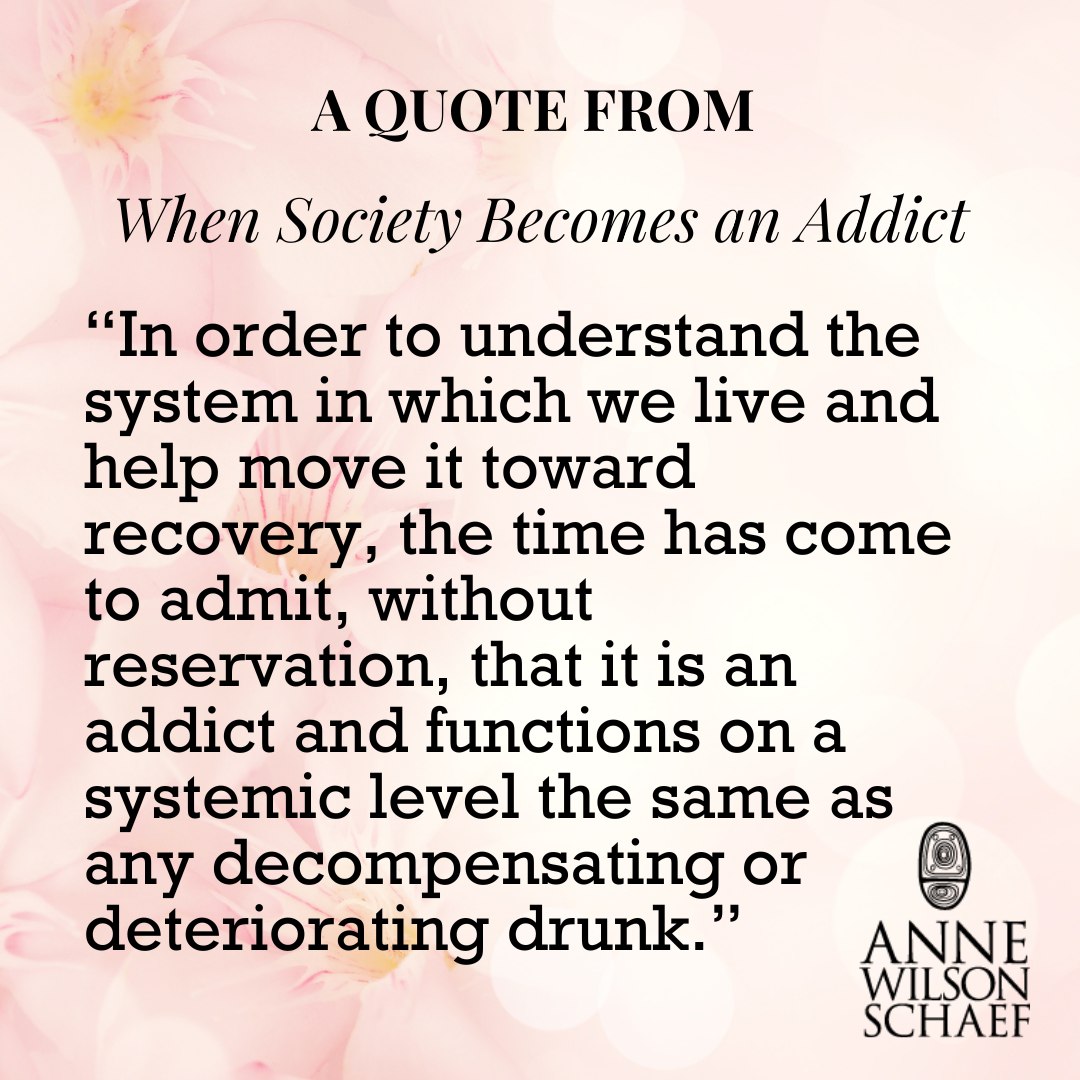 In order to understand the system in which we live and help move it toward recovery, the time has come to admit, without reservation, that it is an addict and functions on a systemic level the same as any decompensating or deteriorating drunk. #addiction #addictionrecovery #recoveryispossible #recovery