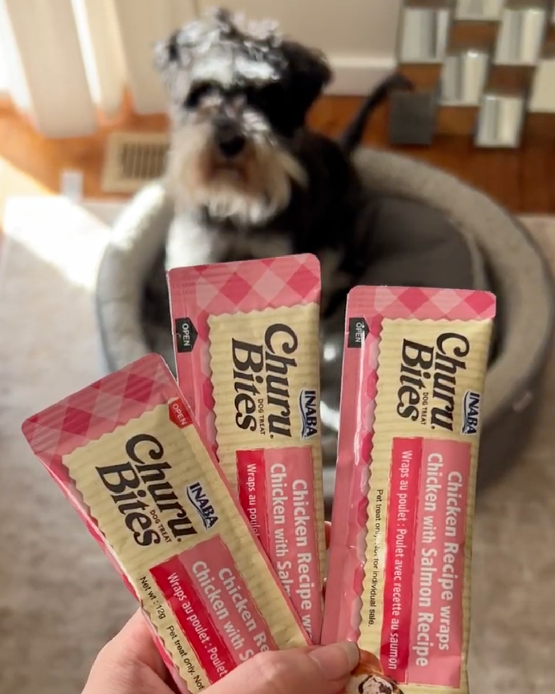 Made with ingredients you can trust and flavours dogs go wild for đ
Each Churu bite is crafted with farm-raised chicken and natural wild-caught tuna, then finished with a creamy Churu-filled centre for double the texture, double the yum.
âïž Grain-free
âïž No preservatives or artificial colours
âïž Soft, low-cal treats (only ~16 kcal per tube)
âïž 72% moisture for hydration
âïž Vitamin E + green tea extract for extra goodness
Perfectly portioned tubes make these ideal for training, treating on the go, or even sneaky pill time - yes, even fussy pups approve đŸ
Treat smarter this year and make every reward count.
đ Shop Churu for your pupâs new favourite treat.
#Churu #DogTreats #HealthyDogTreats #DogTraining